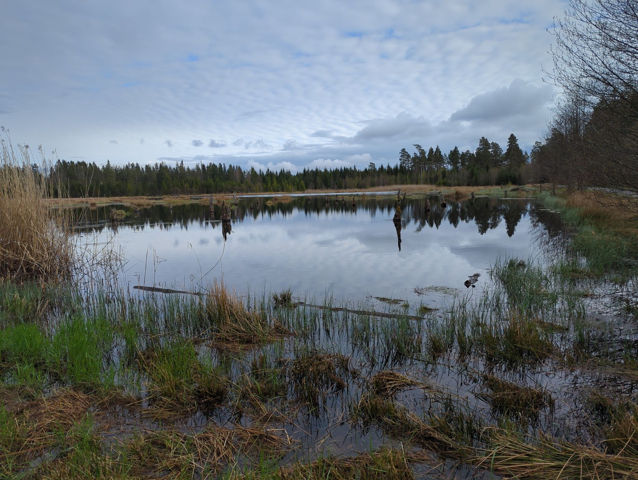 Fågelsjön
