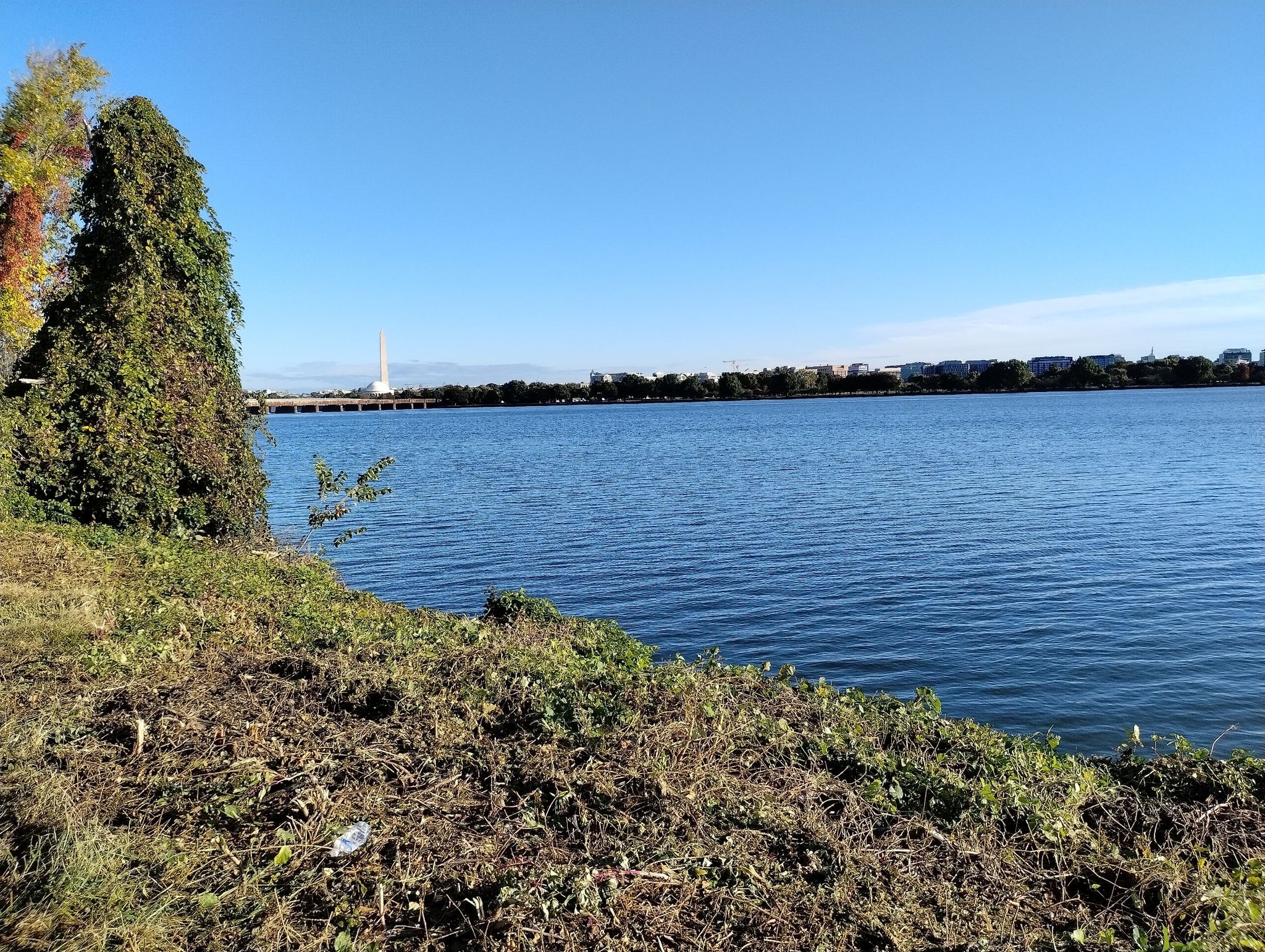 Wide river with distant monument under clear blue sky, seen from grassy bank. - Custis, Washington-Old Dominion, and Mount Vernon Trail Loop