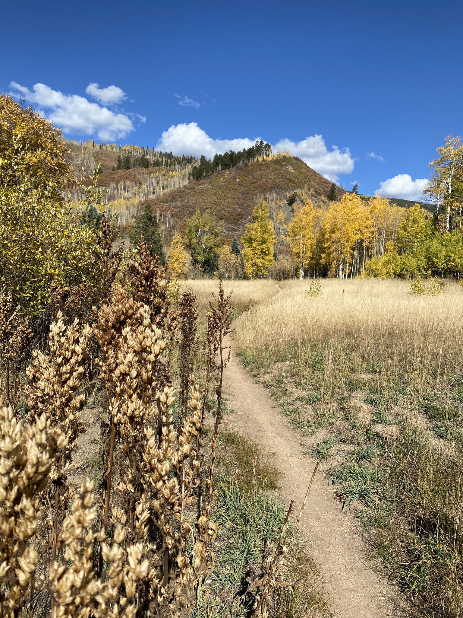 A dirt path through golden grass, autumn trees, and distant mountains under blue sky. - Lollipop to Grand Turk to Hunter Valley Loop