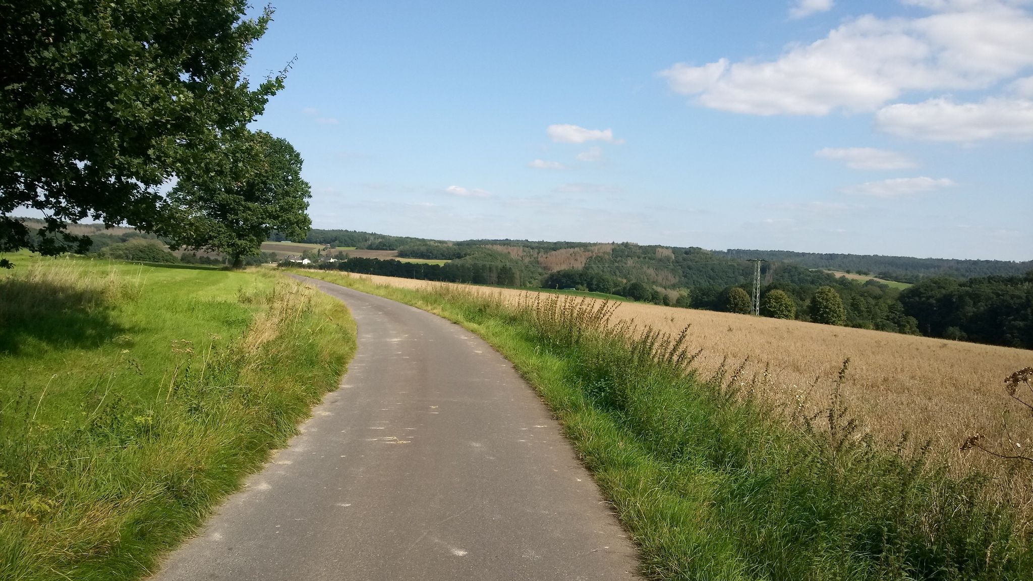 Reiferscheid Richtung Strickhausen