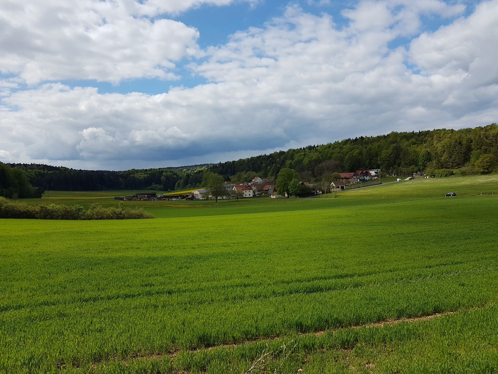 Ritzenfeld (Illschwang)