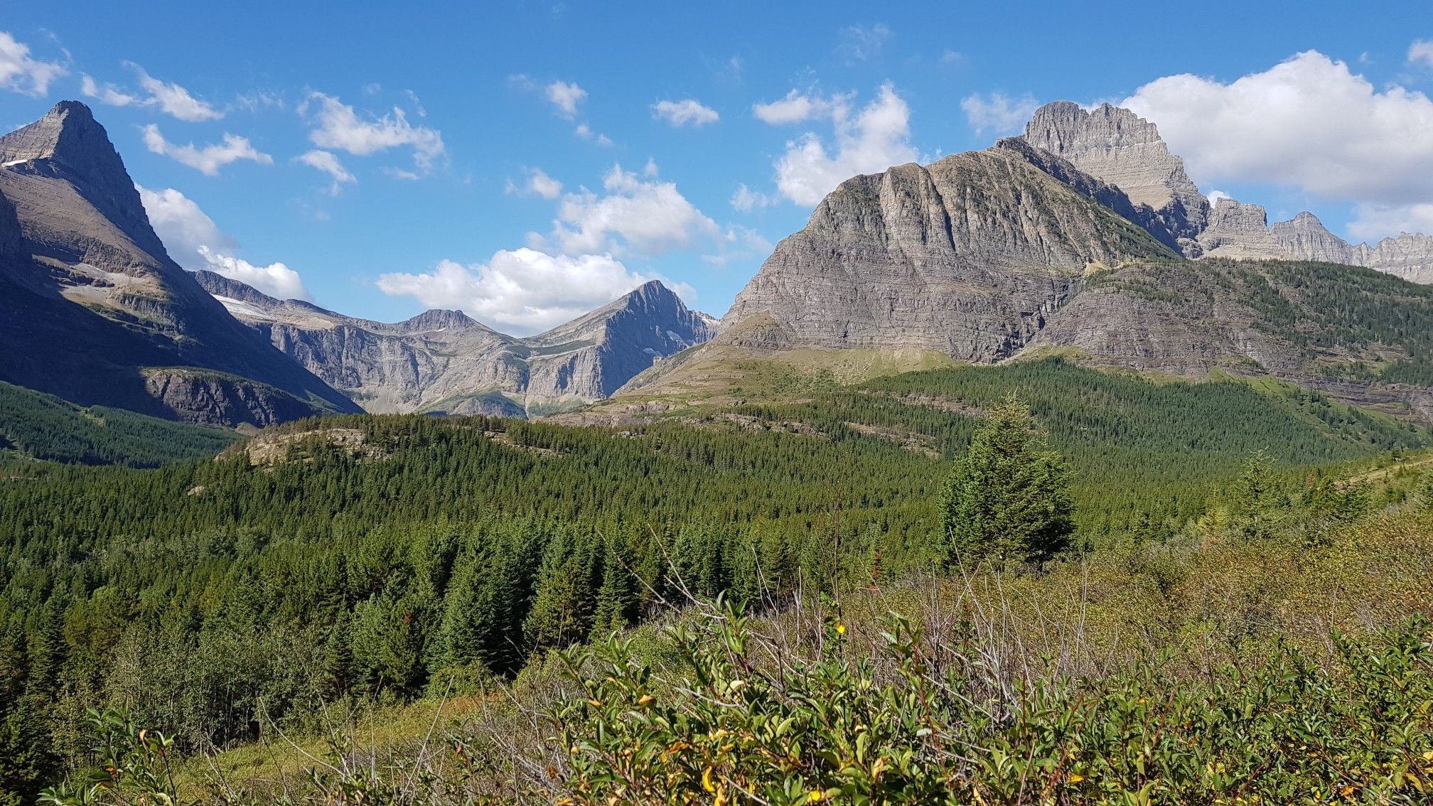 Vast green forest and rugged mountains under a bright blue sky with clouds. - Iceberg Lake Trail