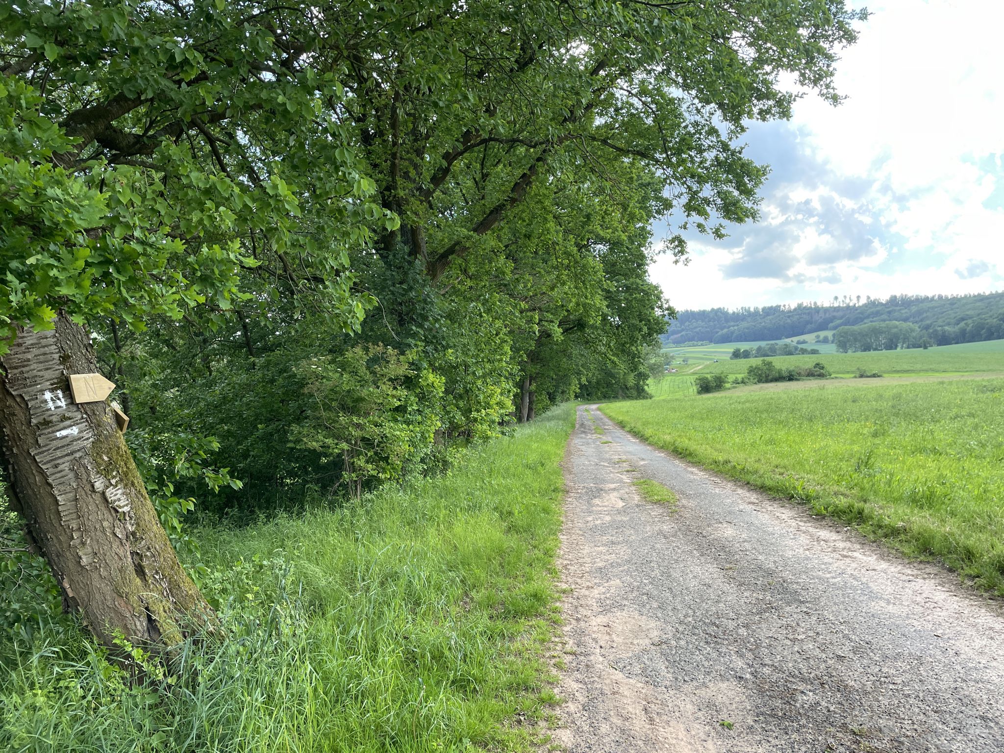 Bis man zurück ins Dorf geführt wird
