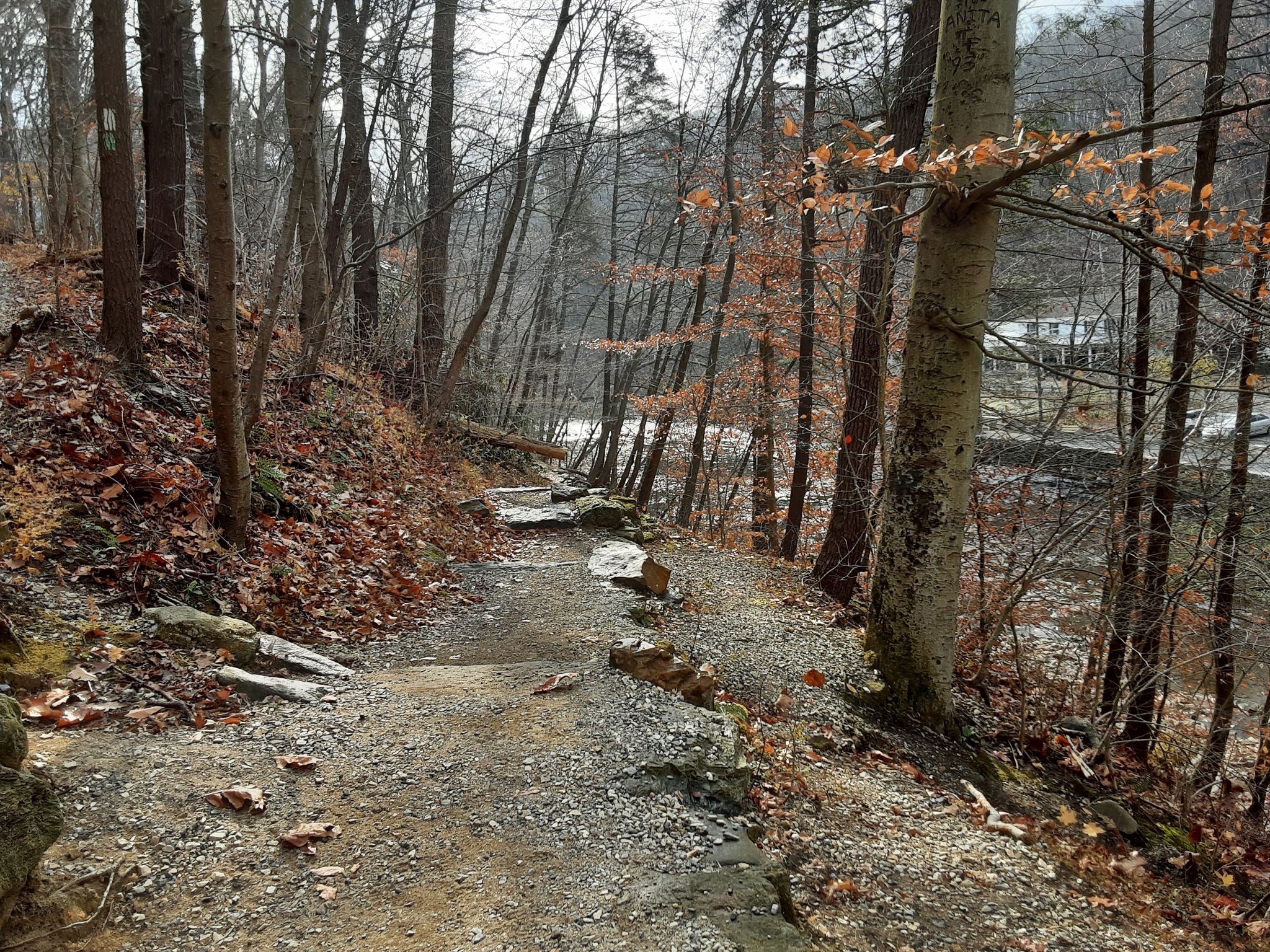A dirt path with stone steps descends through a bare forest, overlooking a river. - Wissahickon Orange and Forbidden Drive Trail Loop