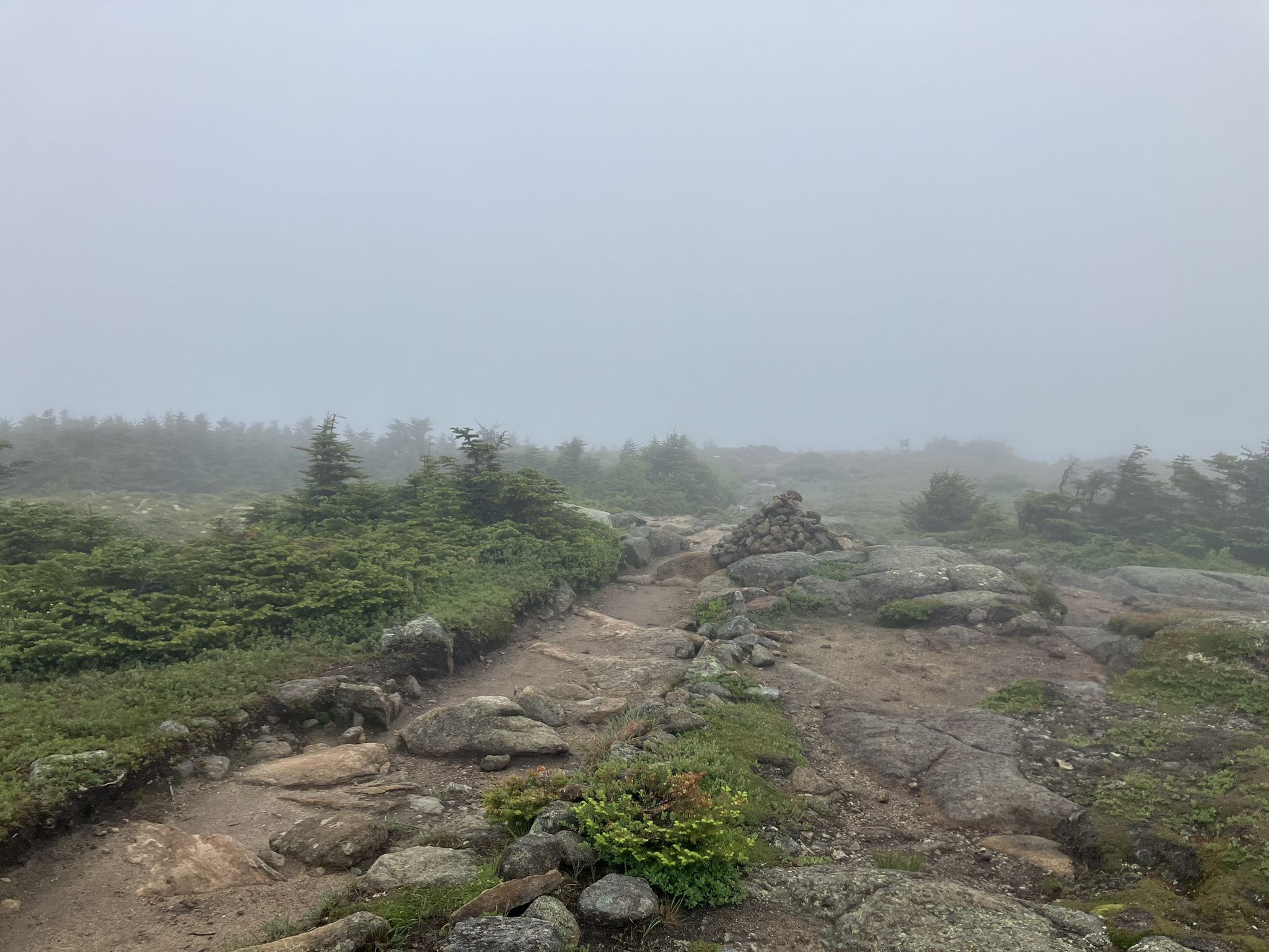 A rocky, winding trail through sparse vegetation on a foggy day. - Crawford Path