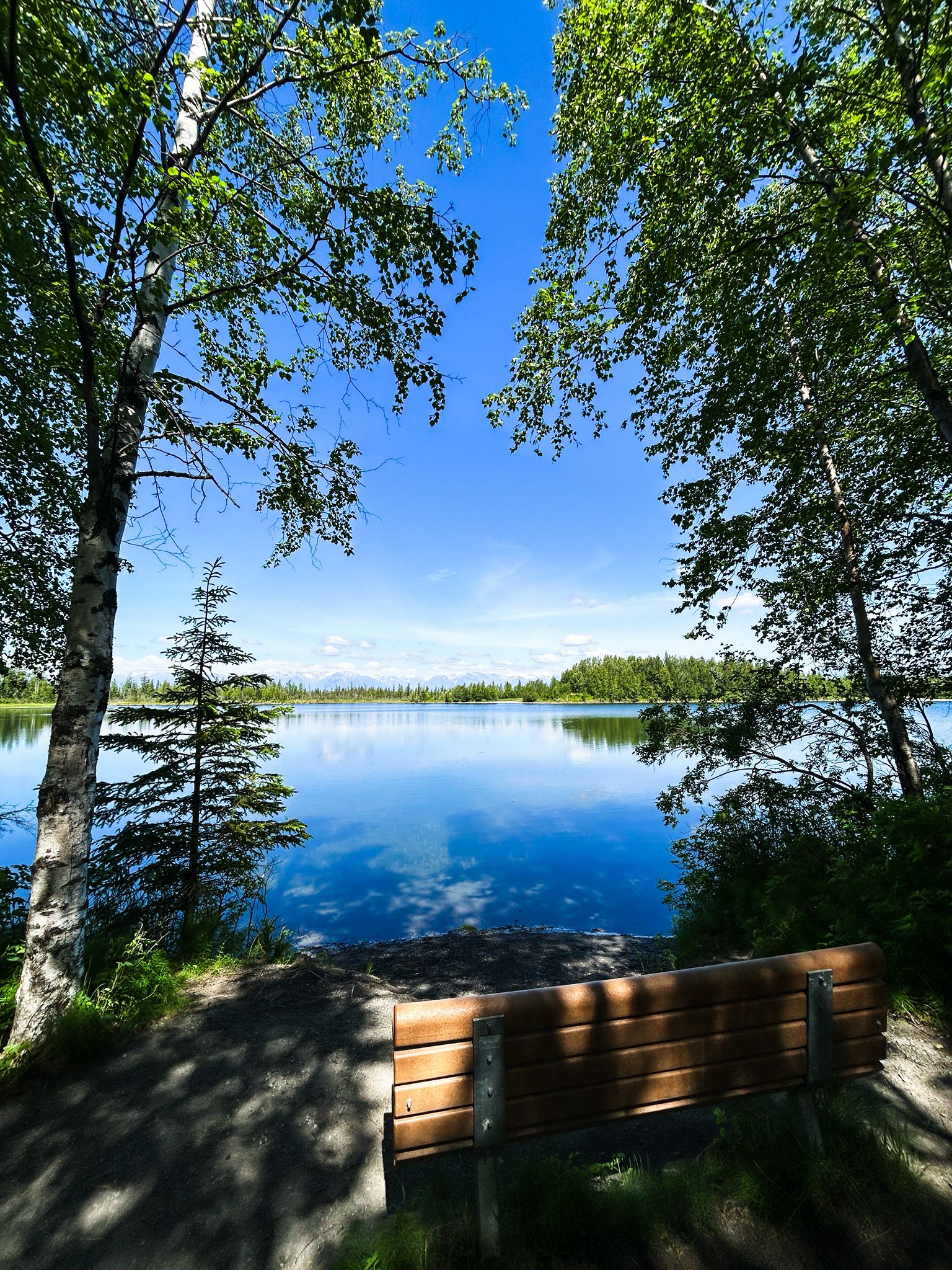 Wooden bench overlooking a serene lake framed by green trees on a sunny day. - Reflections Lake Trail