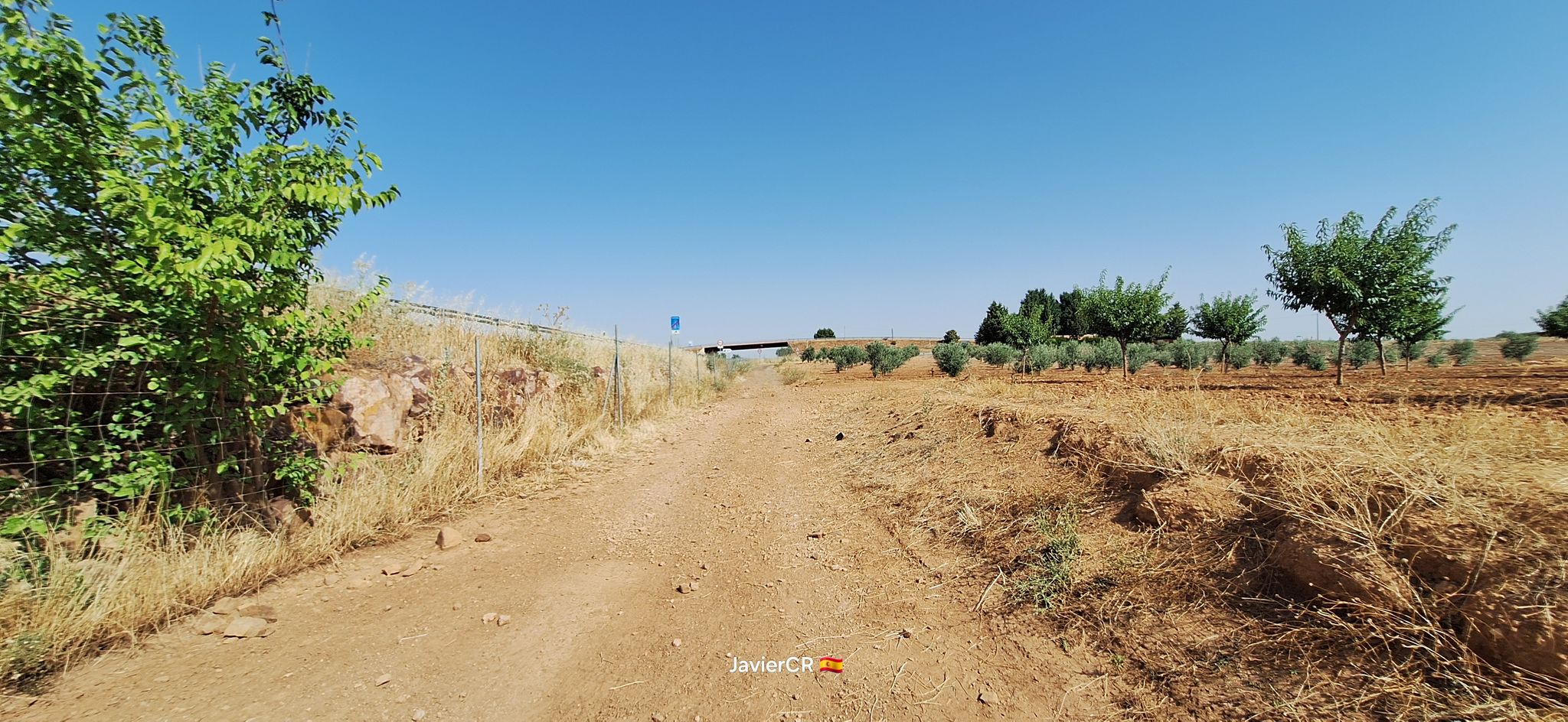 Cruce CM-45