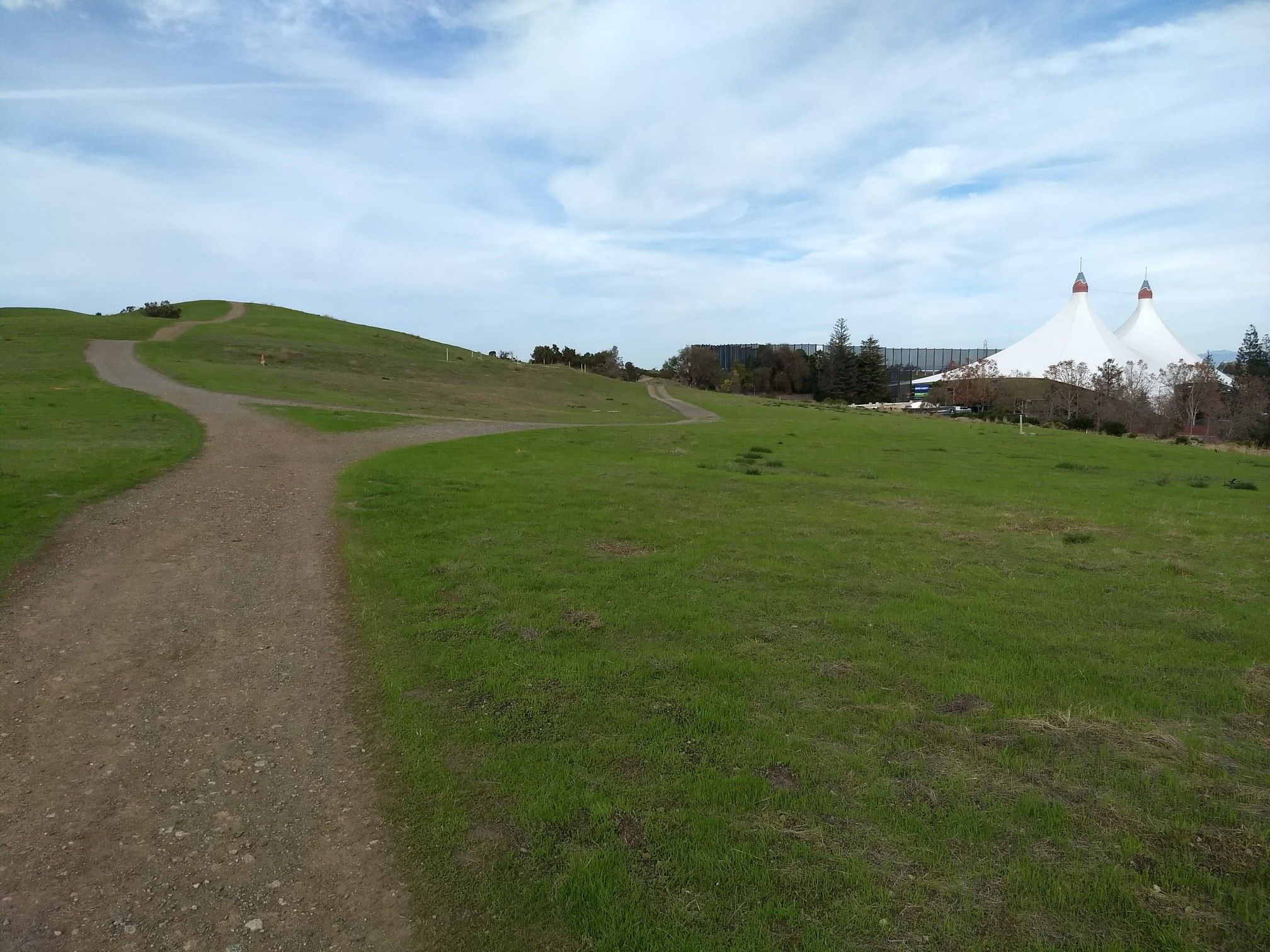 Dirt path splitting on a grassy hill with large white tent structures. - Permanente Creek and Vista Slope Trail