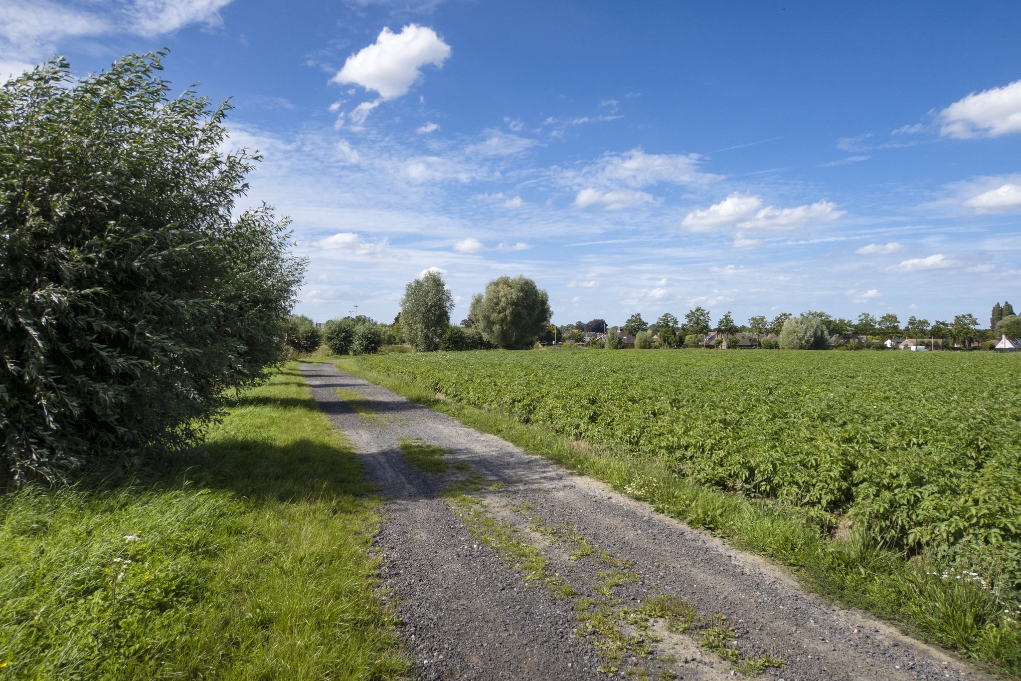 Langs de Koebroekdreef, genoemd naar Hofstede Coubrouc