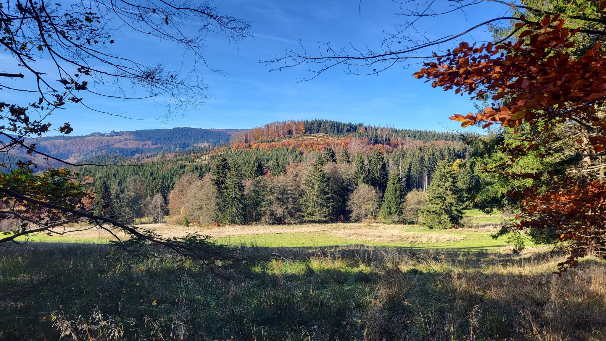 An der Großen Hirschbalzwiese