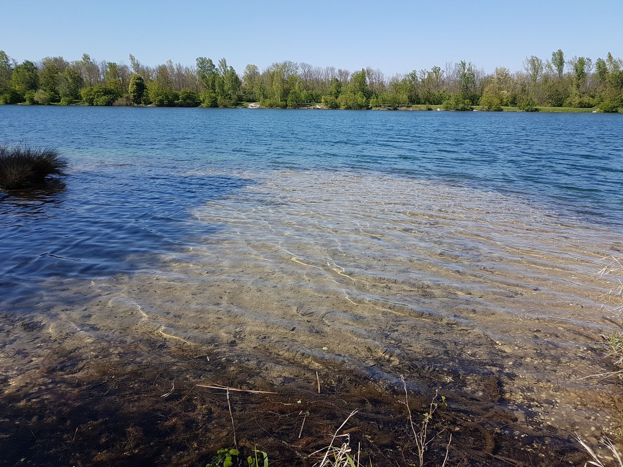Puckingersee