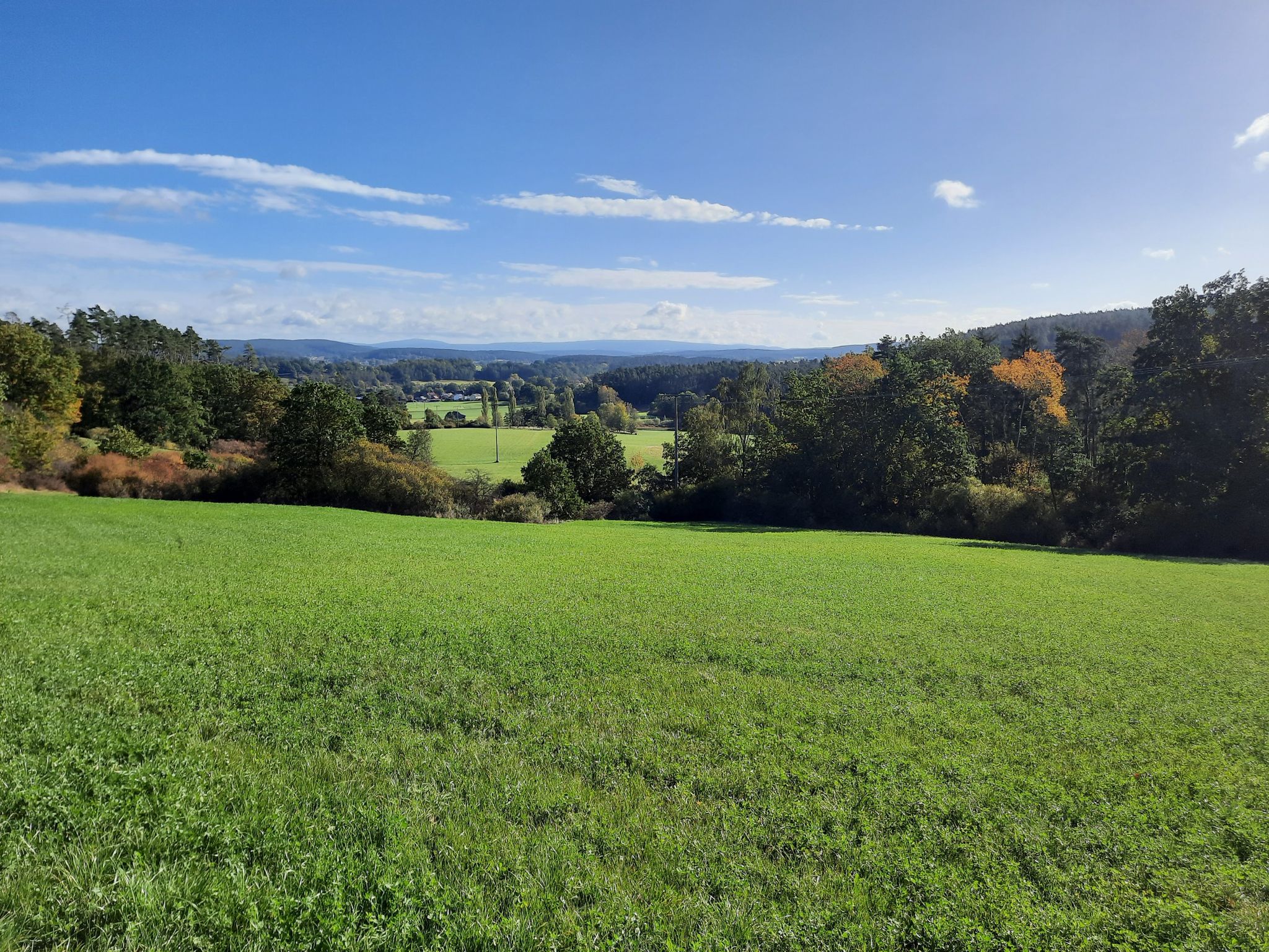 Hutschdorfer Pass 360m, Blick zum Ochsenkopf 1028m