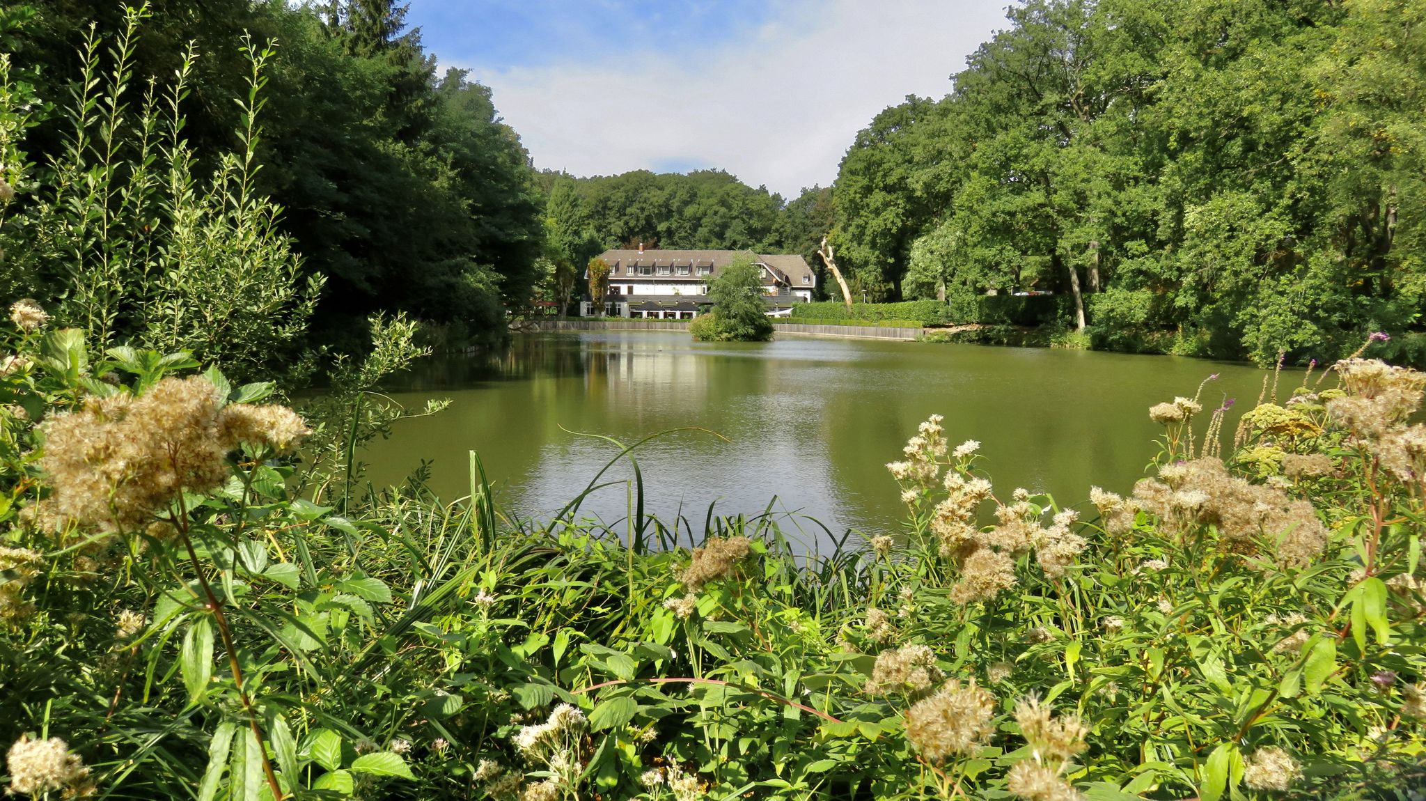 Jammerdal; Molenbeek; Bovenste Molen