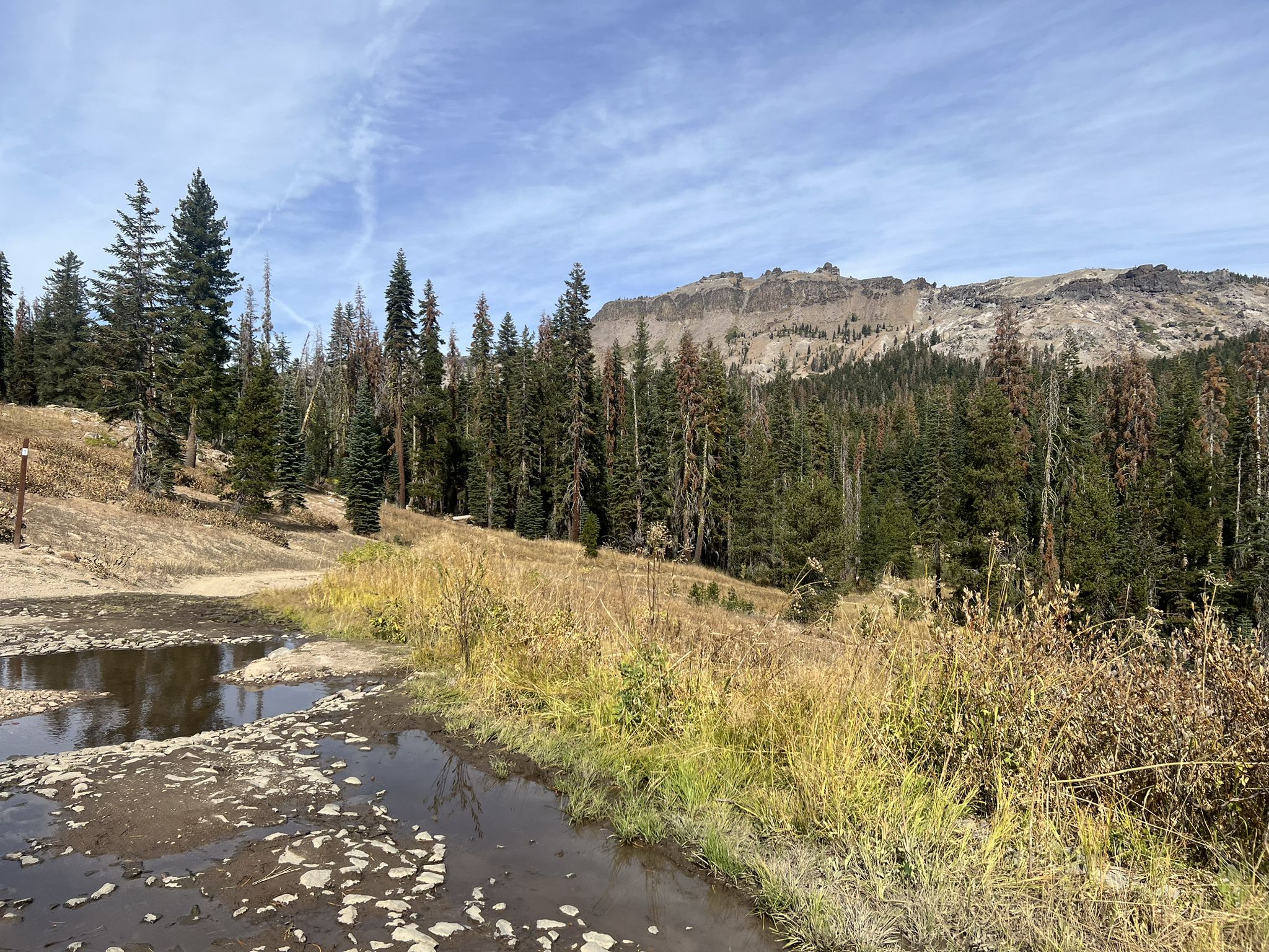 Muddy path, green and brown grass, pine trees, and a distant mountain. - Castle Peak and Basin Peak via Castle Valley Road and PCT