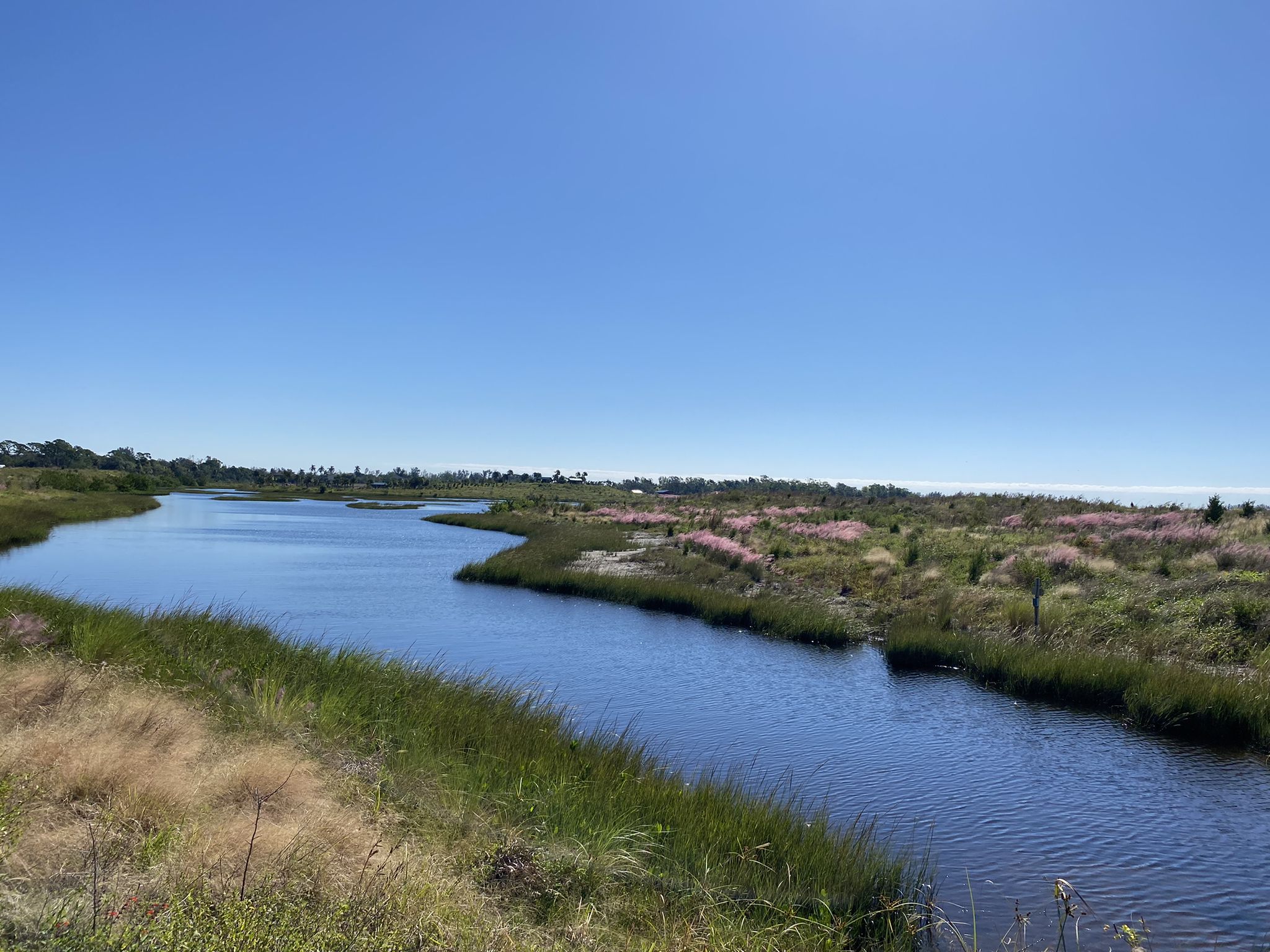 A wide river winds through a grassy, marshy landscape under a clear blue sky. - Spoonbill and Osprey Loop
