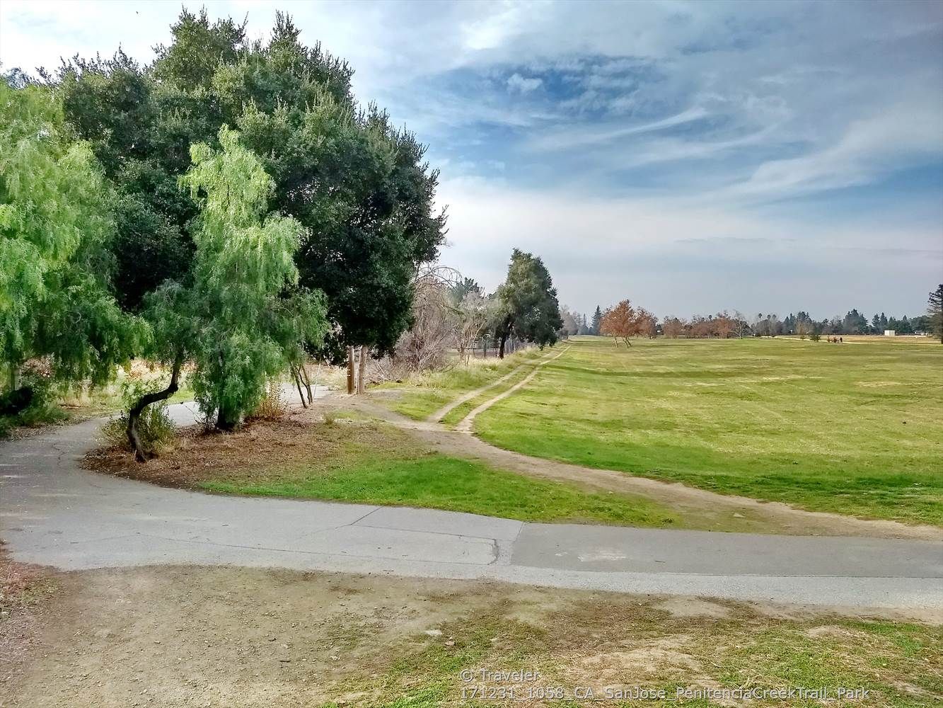 Wide green field with scattered trees and a paved path under a cloudy sky. - Penitencia Creek Park Loop