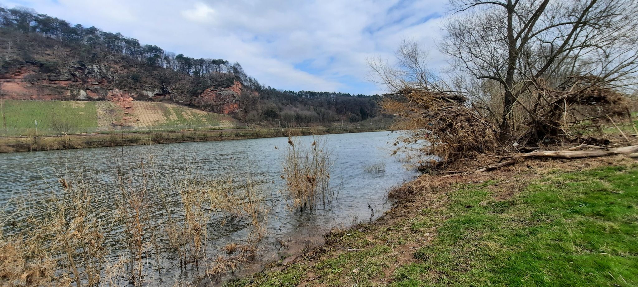 Am Ufer der Mosel