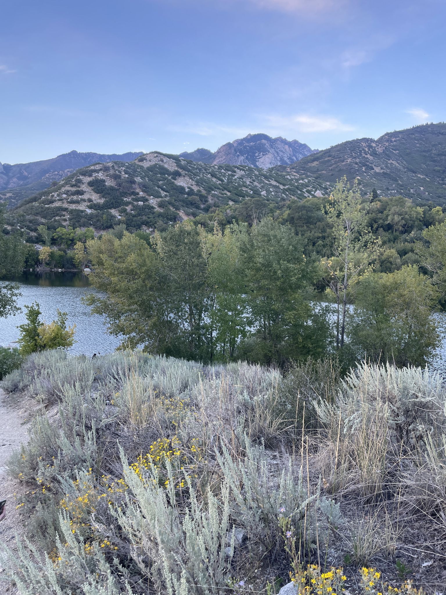 Lake with dry grasses in foreground, surrounded by mountains at dusk. - Lower Bell Canyon Reservoir Loop