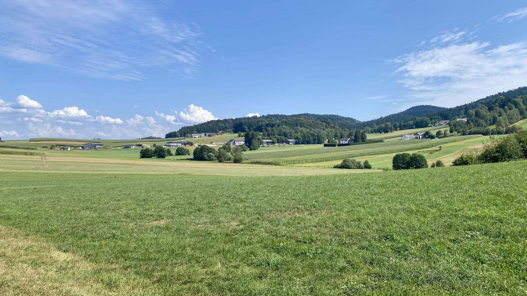 Richtung SO: Wälder am Hochstein