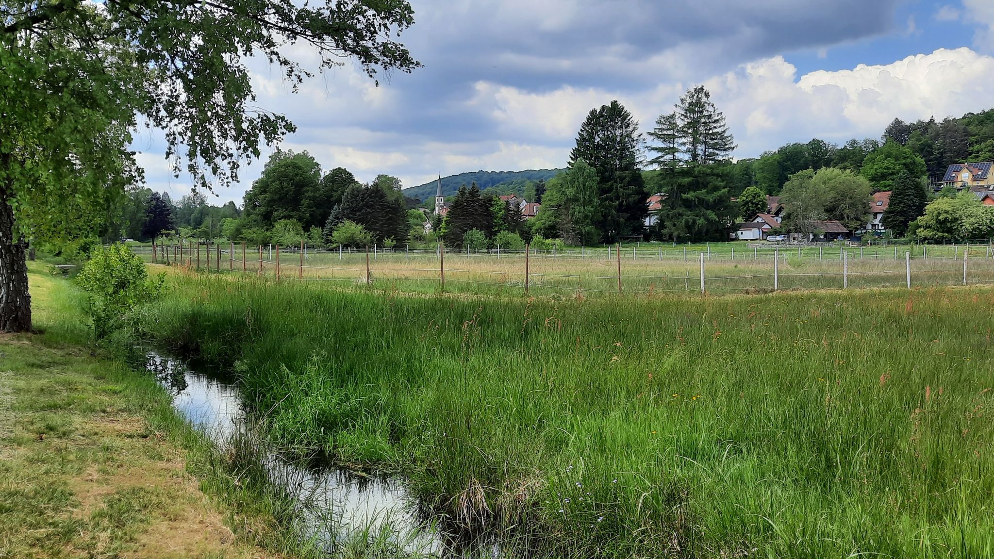 Wanderweg entlang des Barfußpfades
