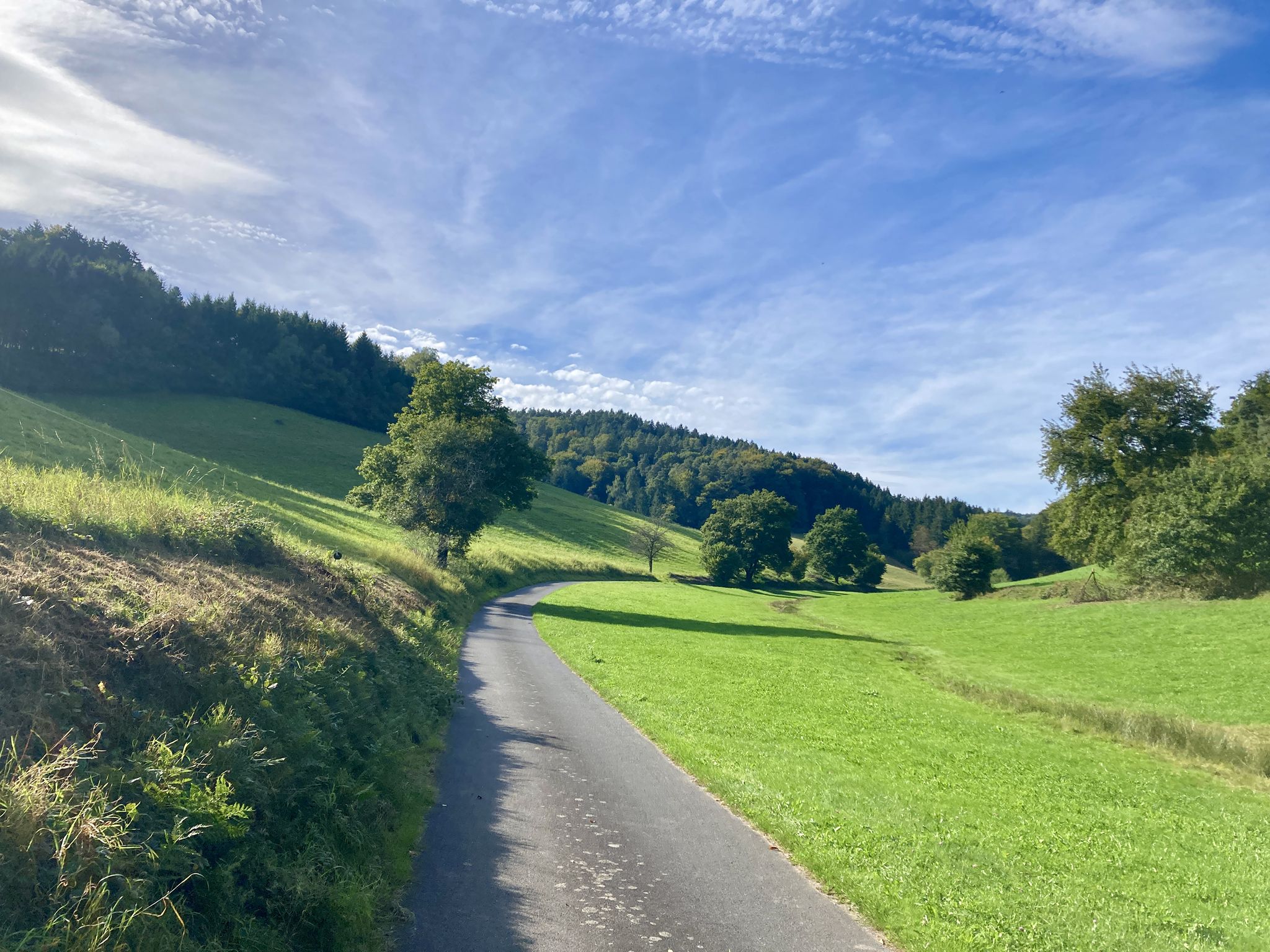 Alte Wiese Weg