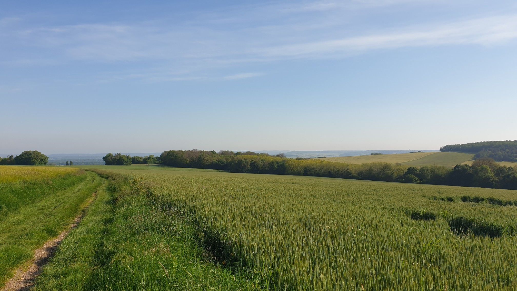 point de vue