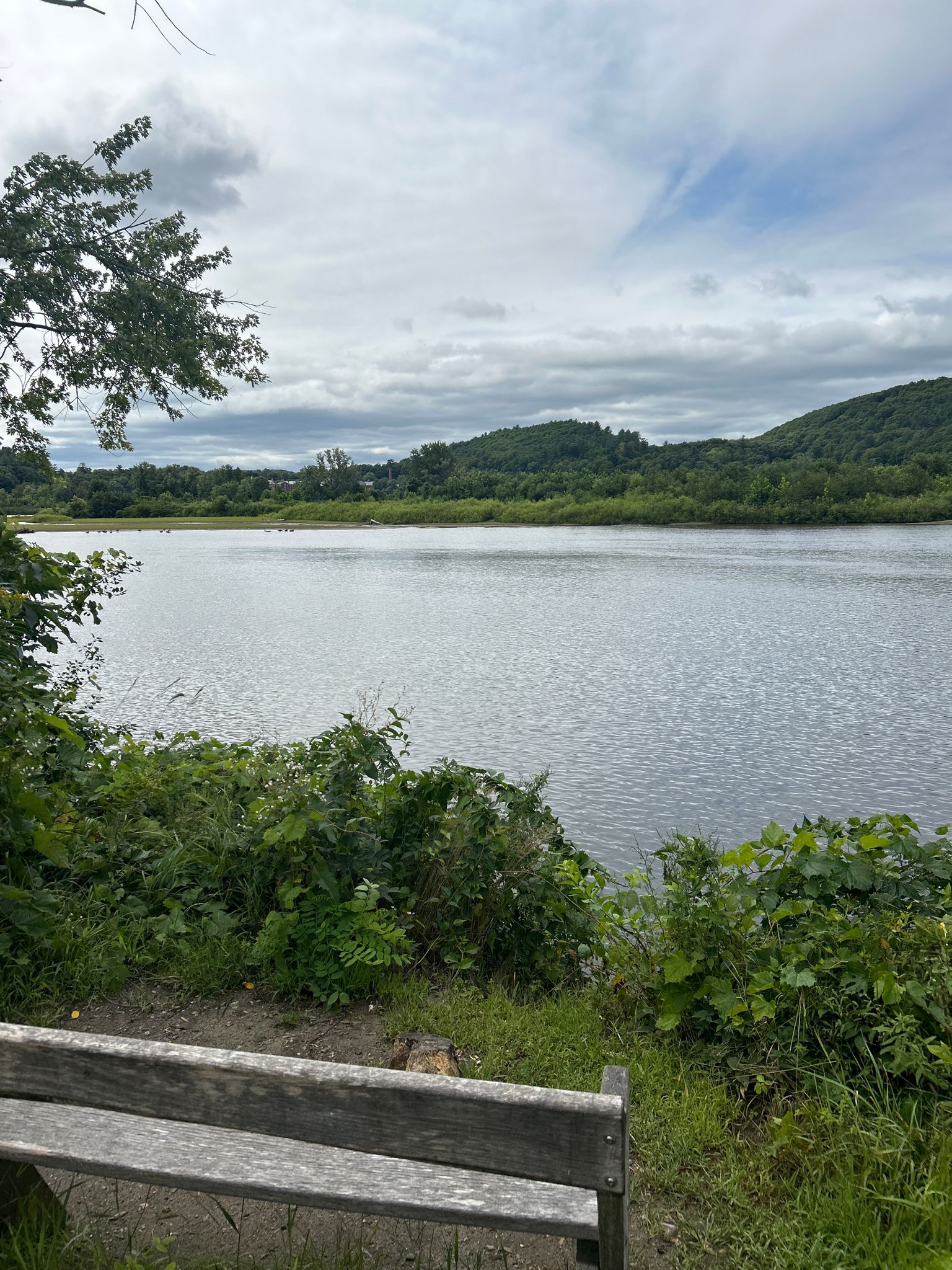 A wooden bench overlooks a wide river with forested hills under an overcast sky. - Black Mountain Trailhead – West River loop from Brattleboro