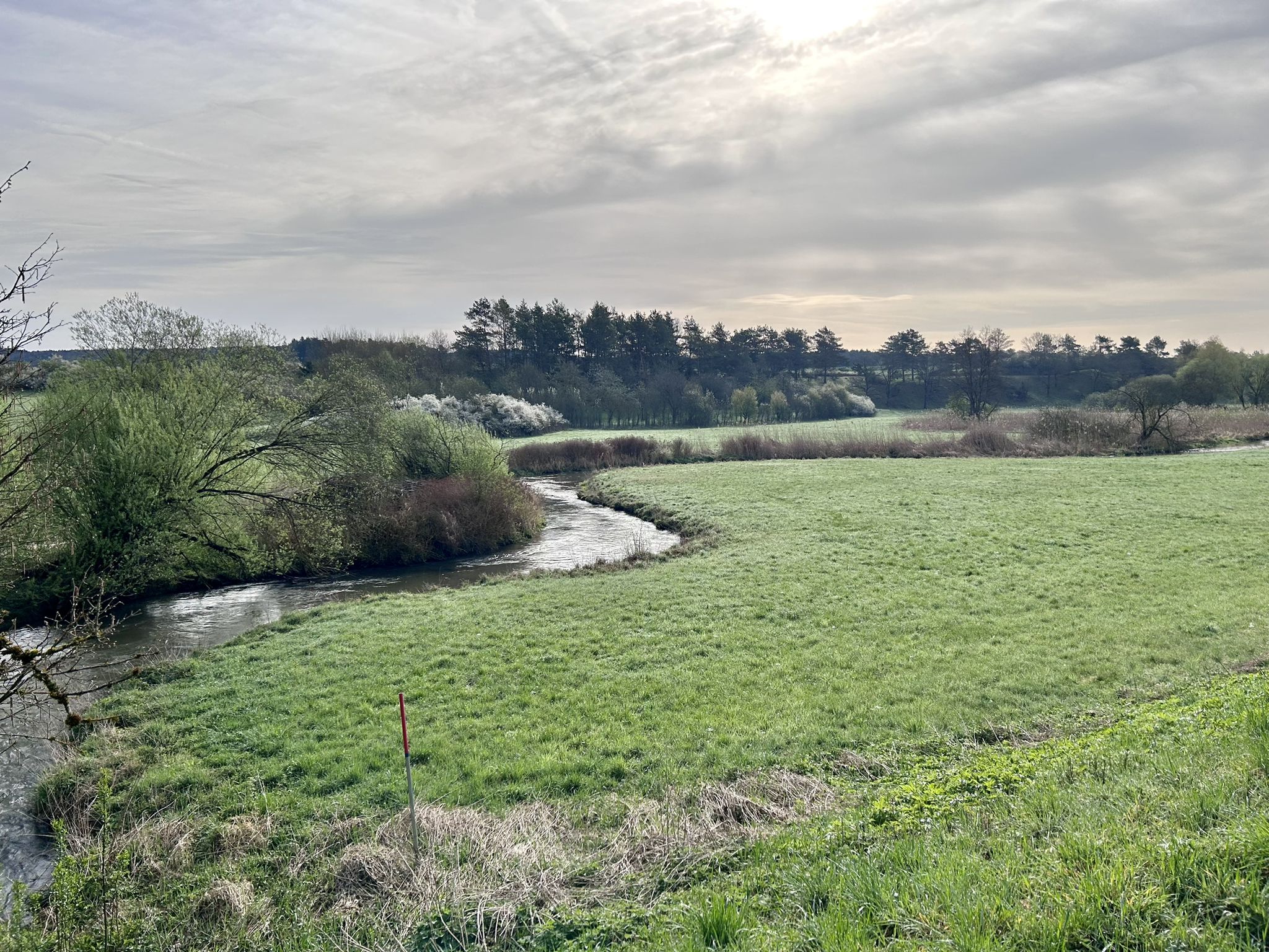 Wiesent am Morgen