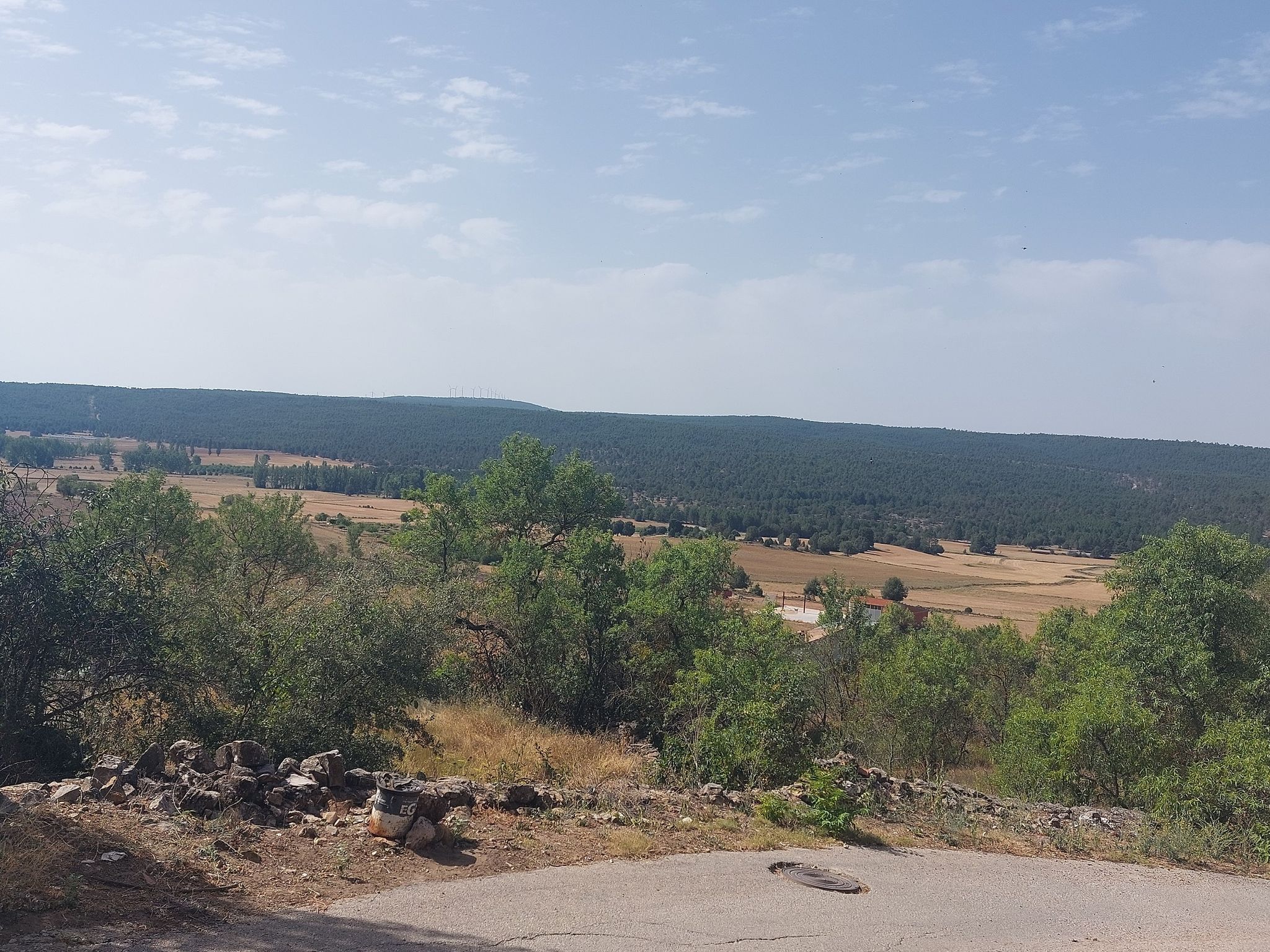 La vega