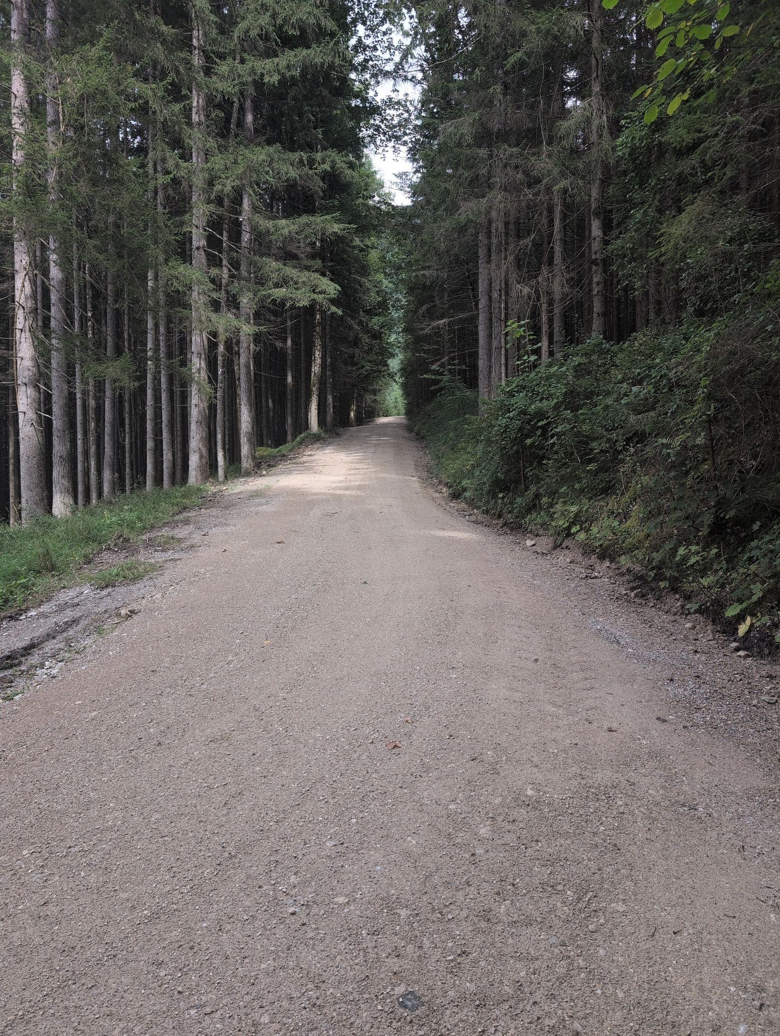 große buchstein, Runde