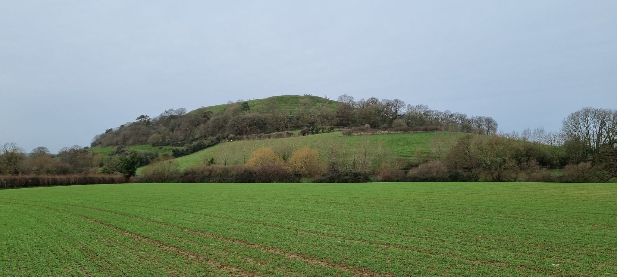 Cadbury Hill