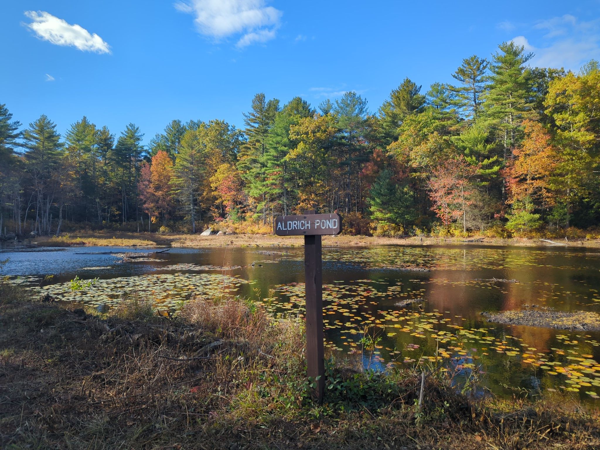Sunny autumn day, a pond with lily pads and a wooden sign. - Southern New England Trunkline Trail
