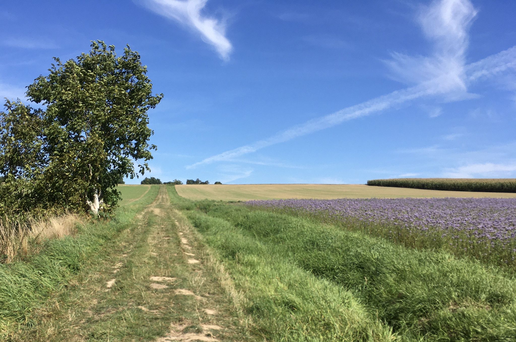 keine ideale Wegstrecke fürs Rad