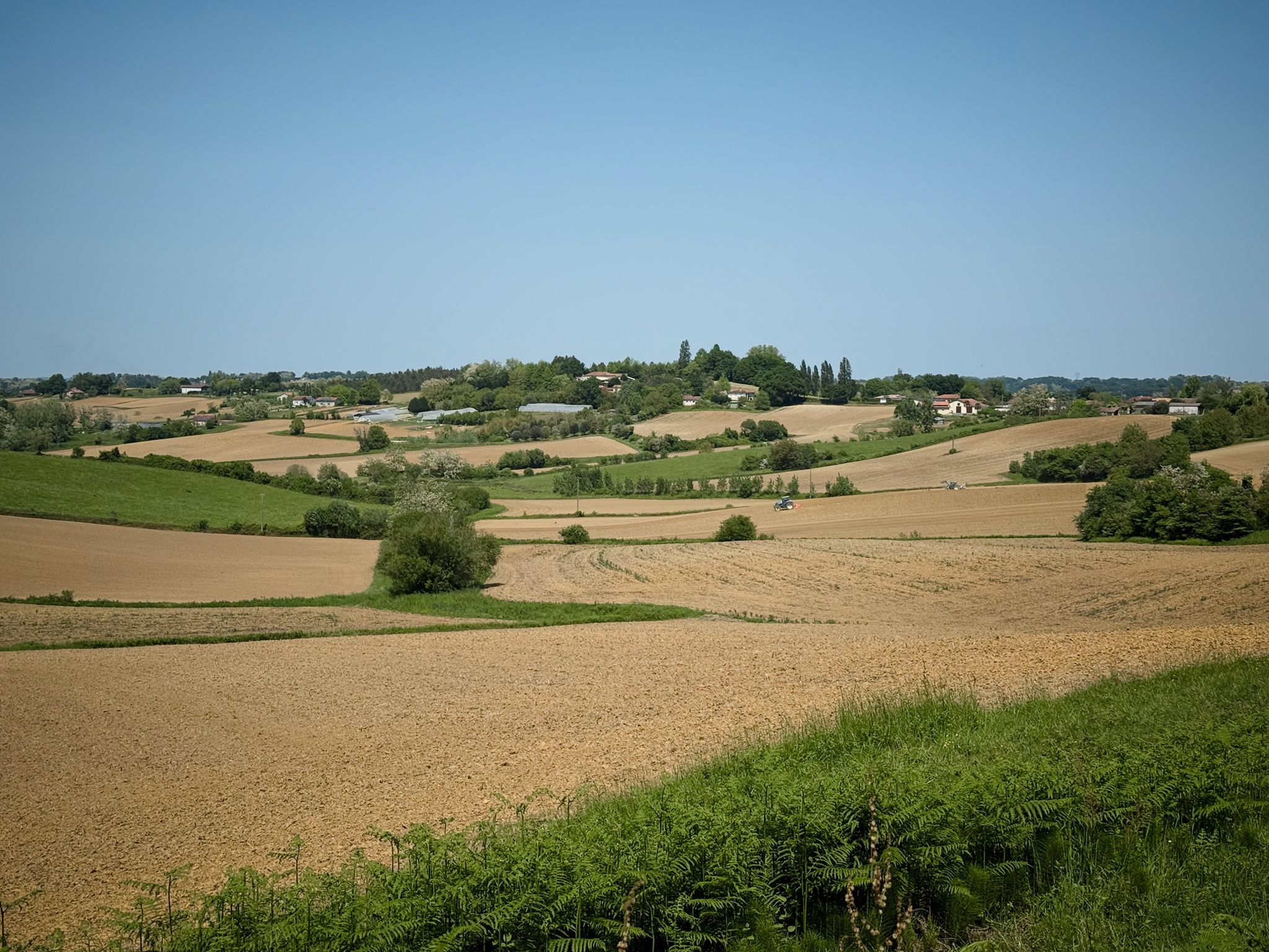 Préparation des terres pour la culture du maïs