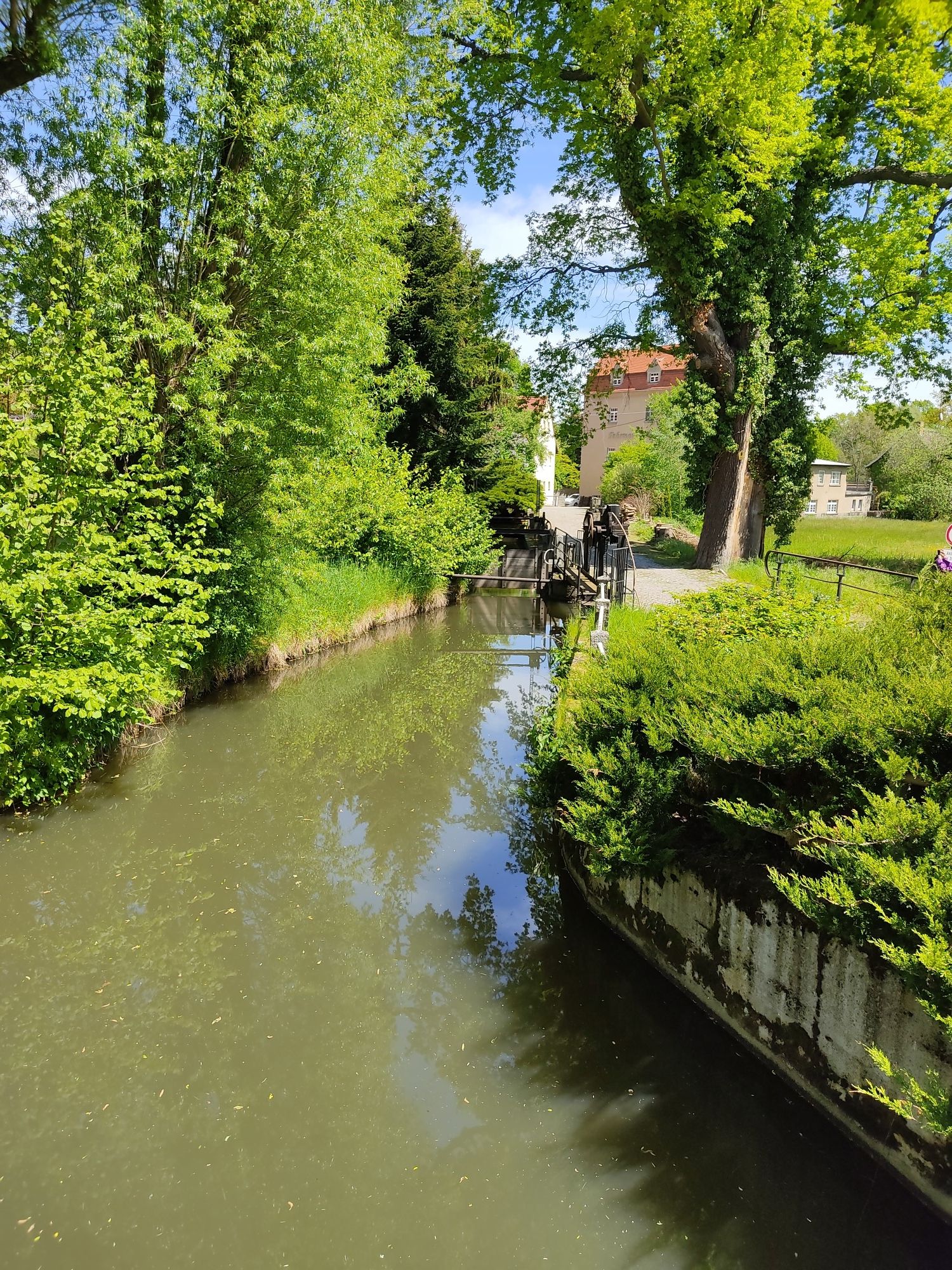 Mühlgraben 