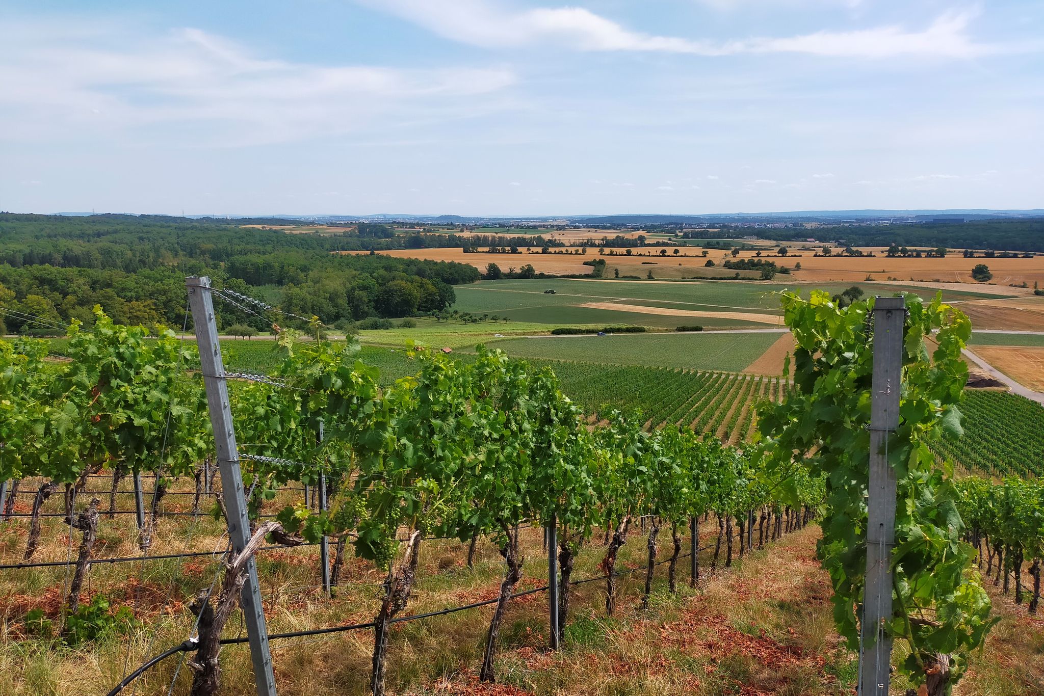 Blick nach Stuttgart