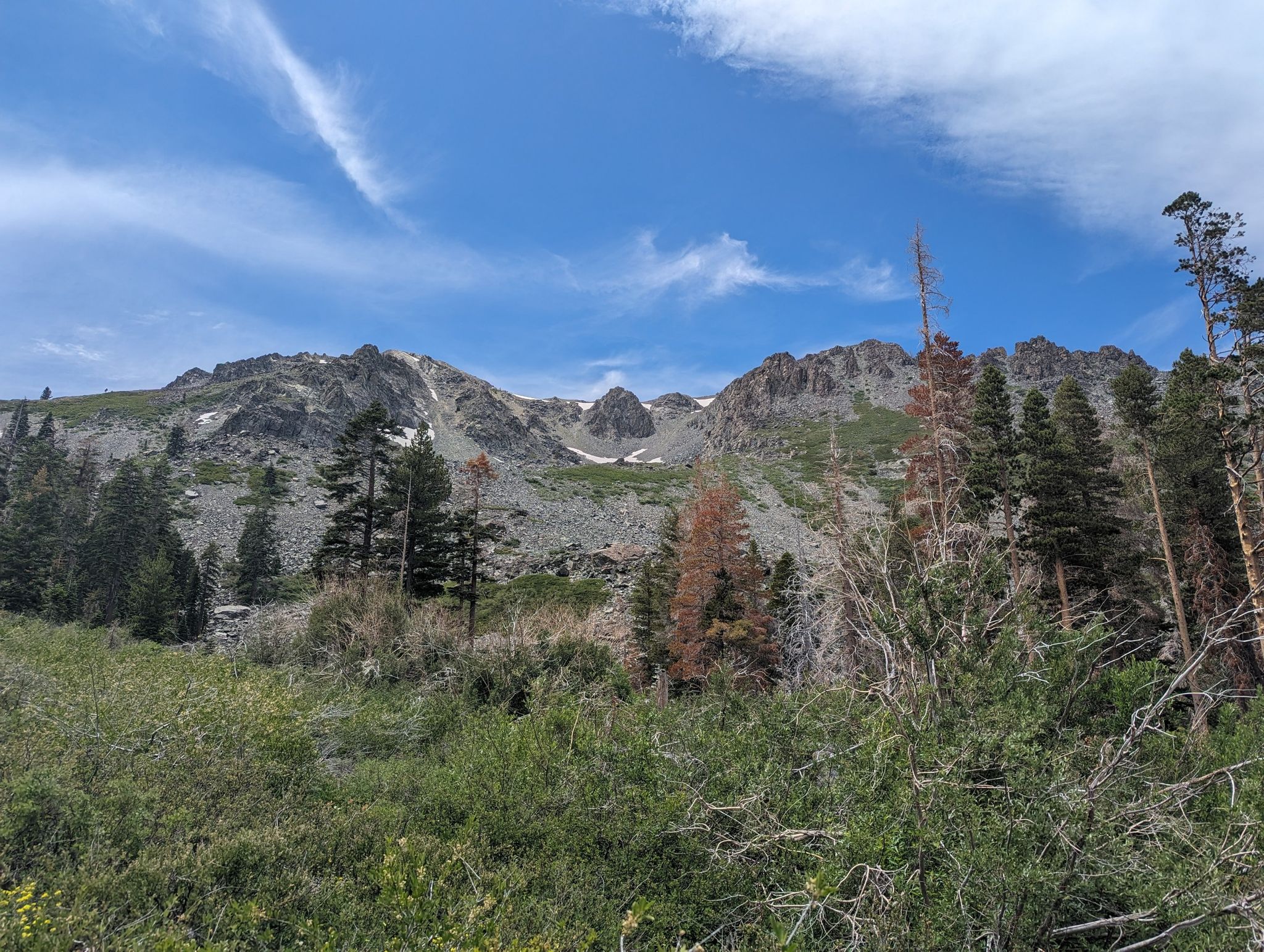 Rocky mountain slope with green trees and shrubs under a bright blue sky. - Floating Island and Cathedral Lakes Trail