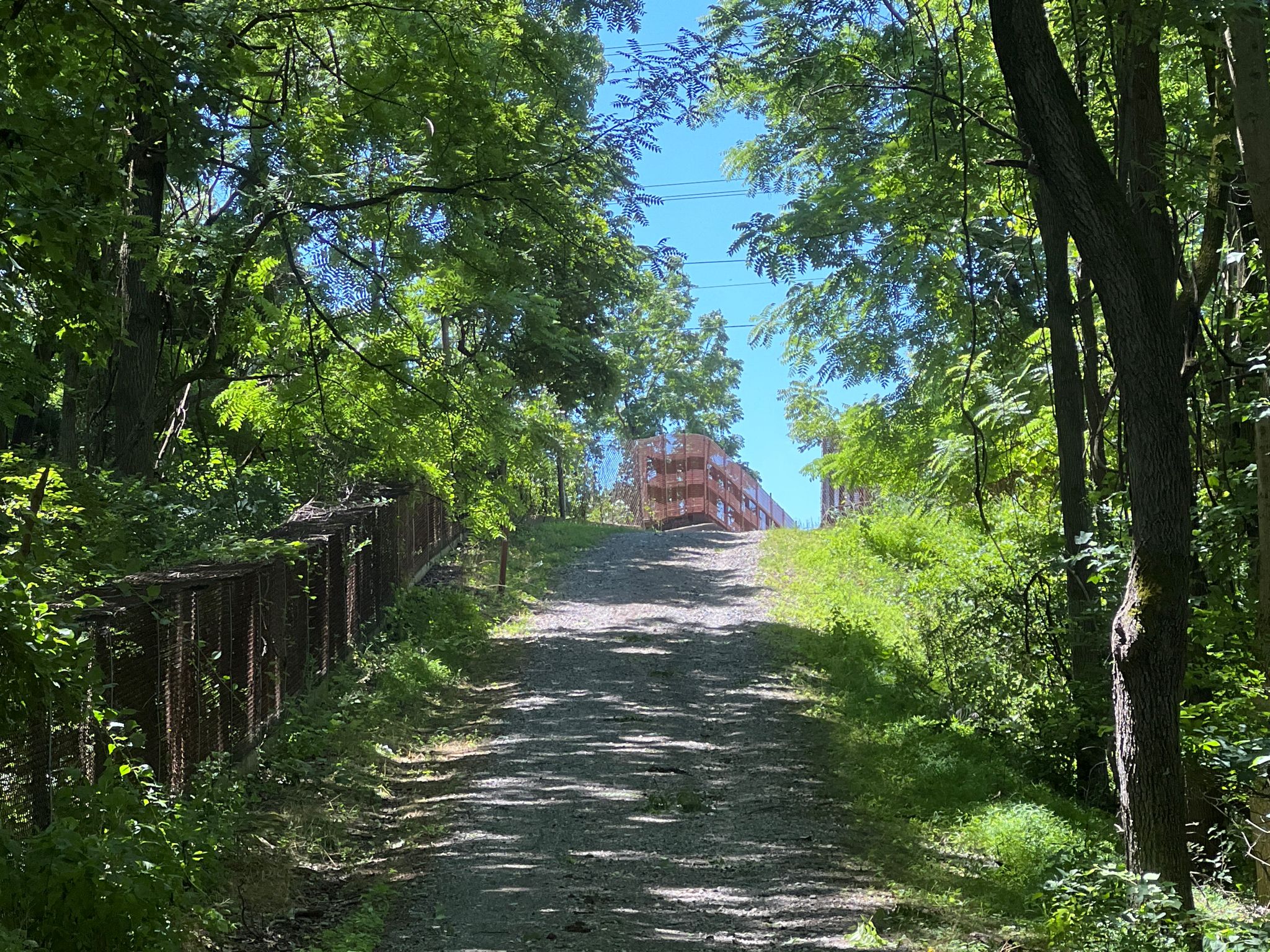 A steep, shaded dirt path winding uphill through a dense green forest. - Fair Hill Trailhead – Willis House Ruins loop from Appleton