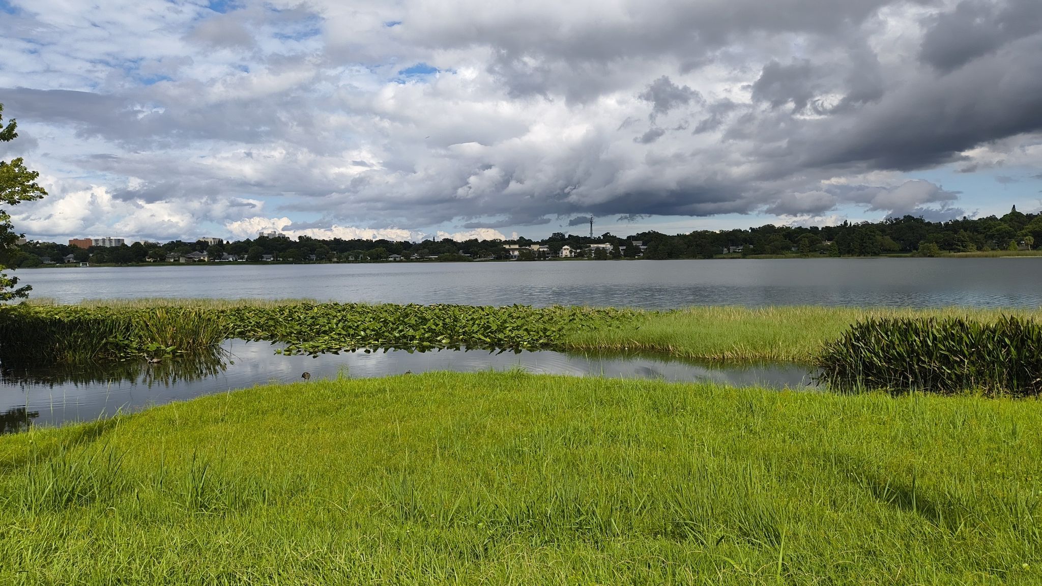 A wide lake with green grass and lily pads under a cloudy sky. - Lake to Lake Bikeway