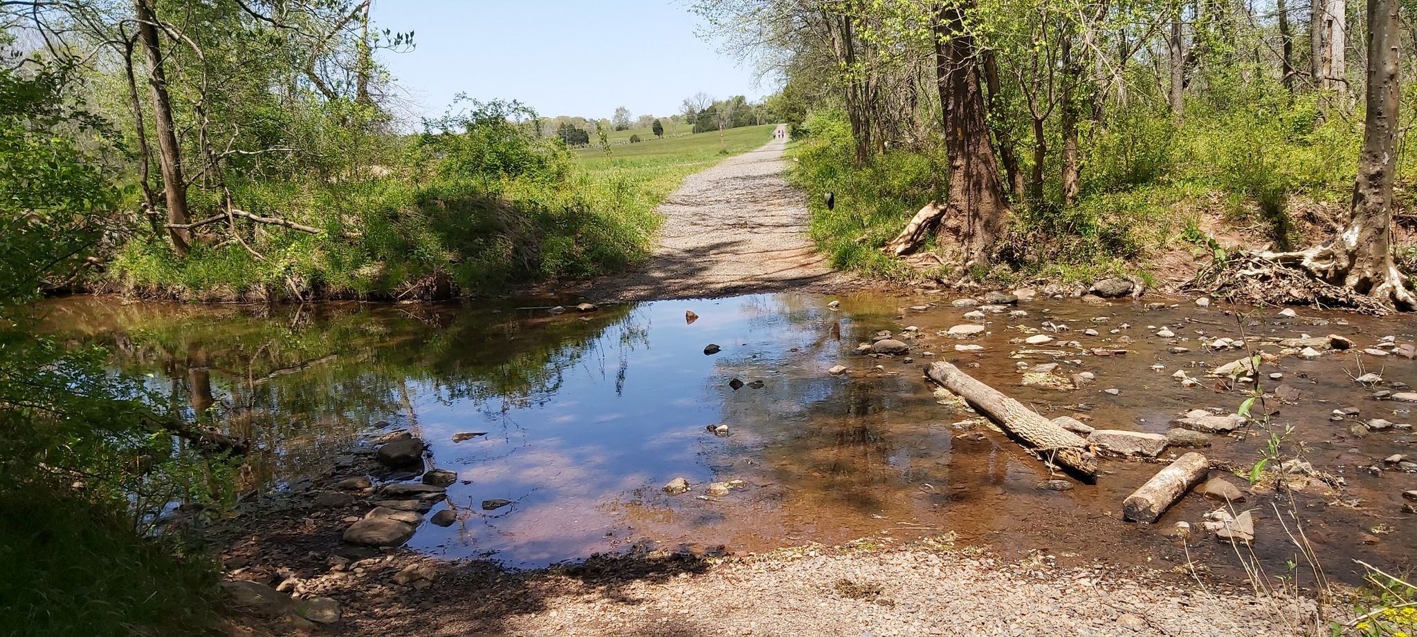 Dirt path crossing a shallow stream in a sunny, wooded area. - First Manassas Trail
