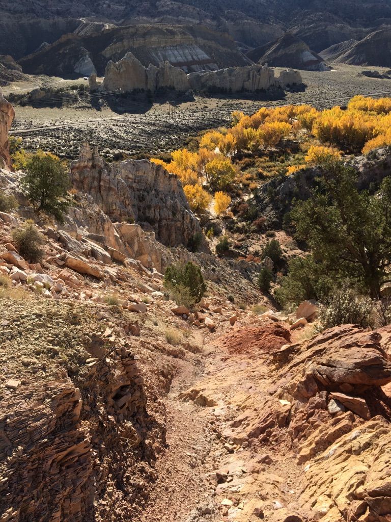 Steep, rocky desert path overlooking a valley with golden trees. - Yellow Rock Trail