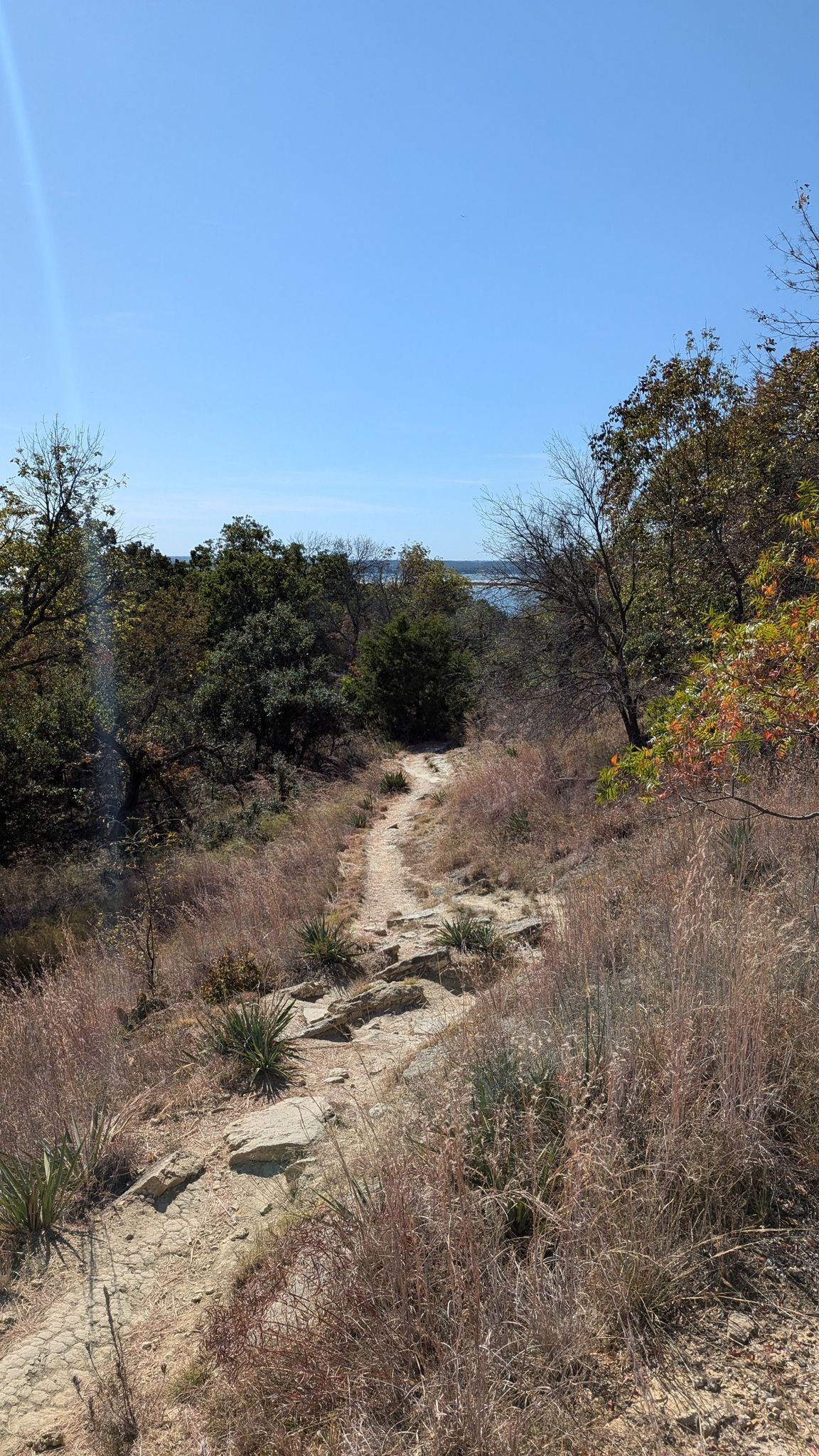 Rocky dirt trail winding uphill through dry grass and trees, distant water. - Eagle Mountain Park Trail