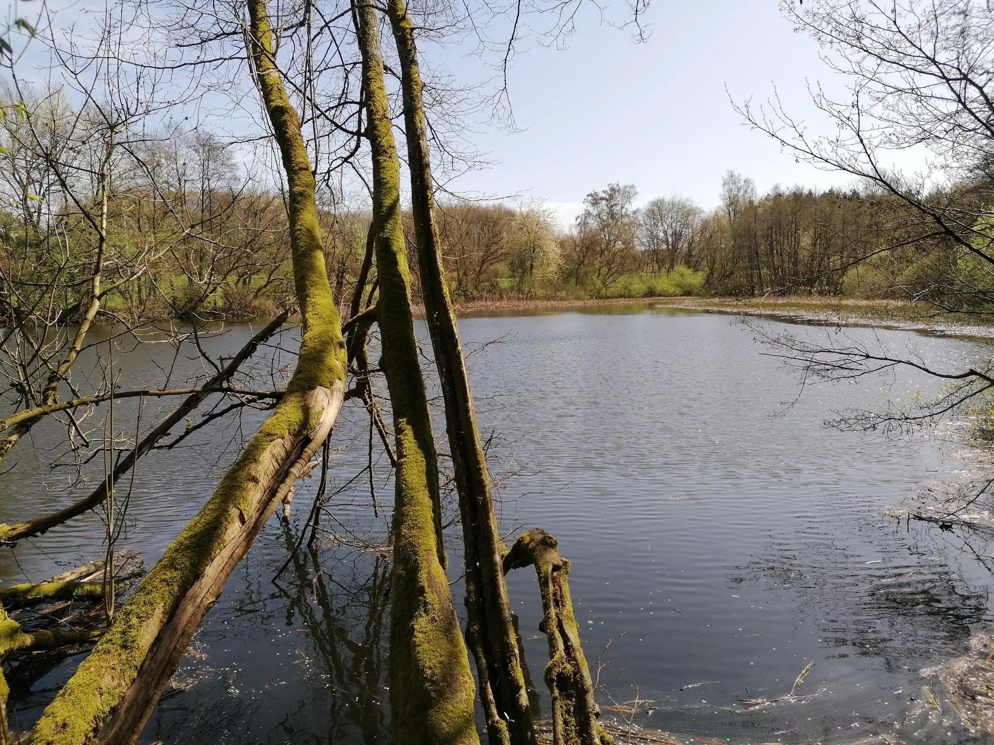 Spießweiher