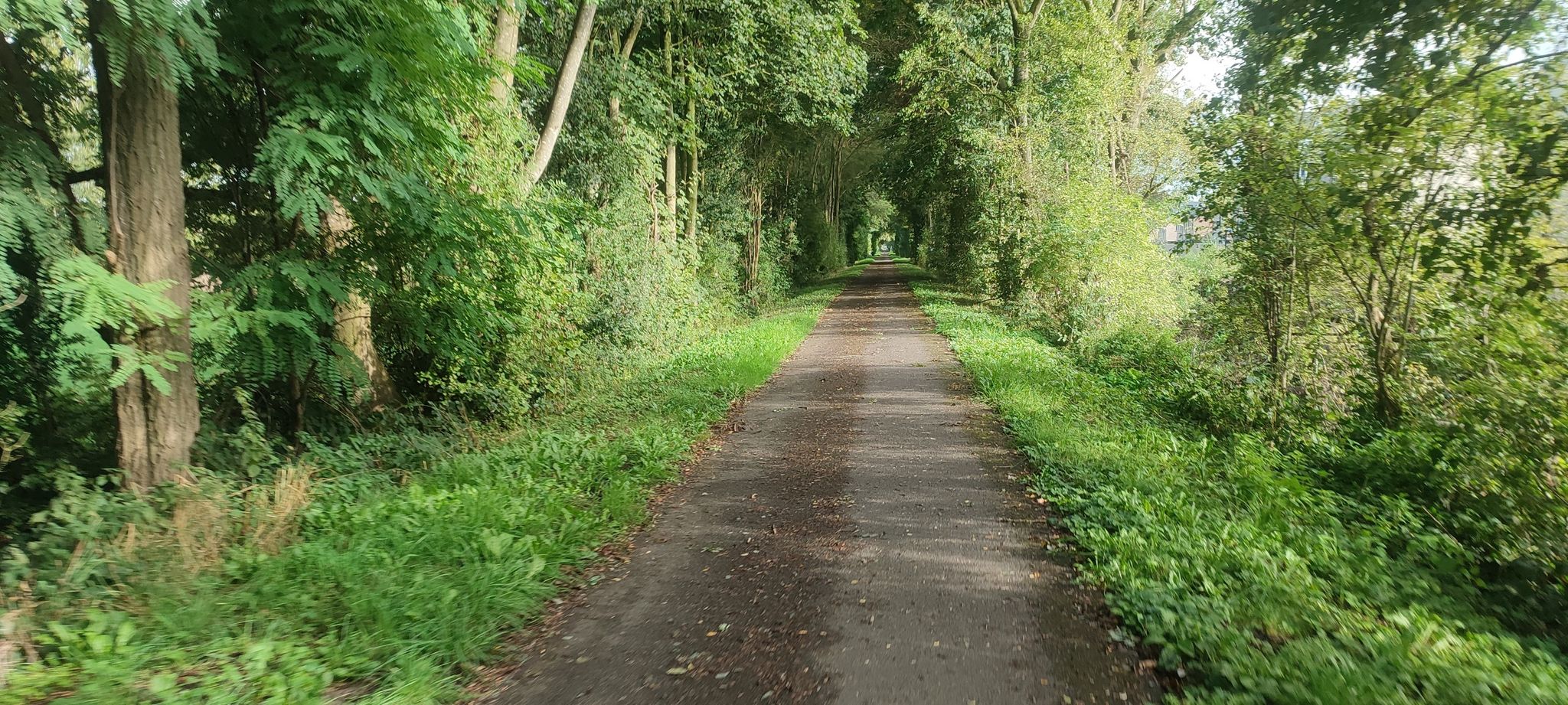 Bahntrassenradweg RAVeL L142