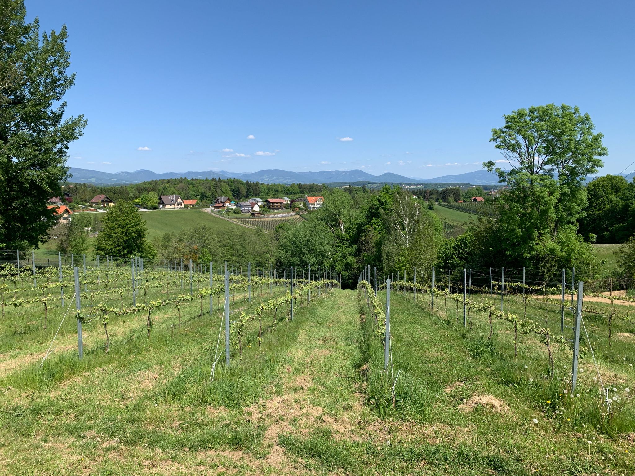 Blick bis zum Naturpark Almenland