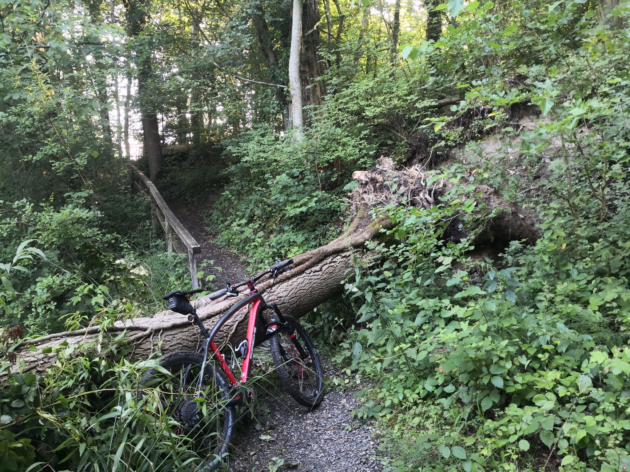 hub sattelstütze CXWXC Kabellose absenkbare 27,2 / 30,9 / 31,6 mm – 125 mm – Sattelstütze mit Fernbedienung für Mountainbikes, Gravelbikes und E-Bikes (27.2MM) Sport & Freizeit 139.99 Material:Fulcrum 600DB 15-Minuten Meal Prep-Couscous-Salat