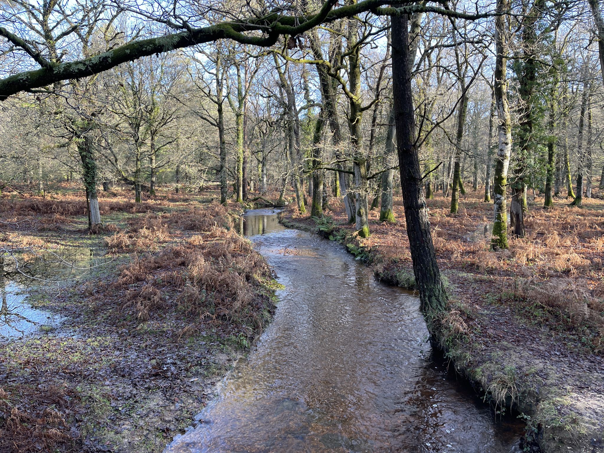 Use the bridge to go across the stream and then take a left along a grassy track