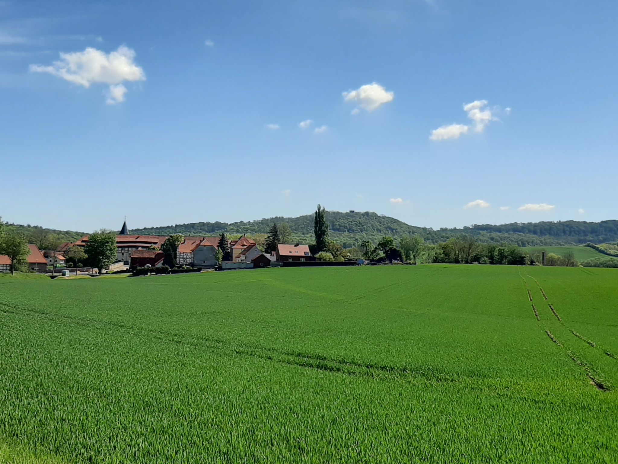 Henneckenrode und Ruine Wohldenberg