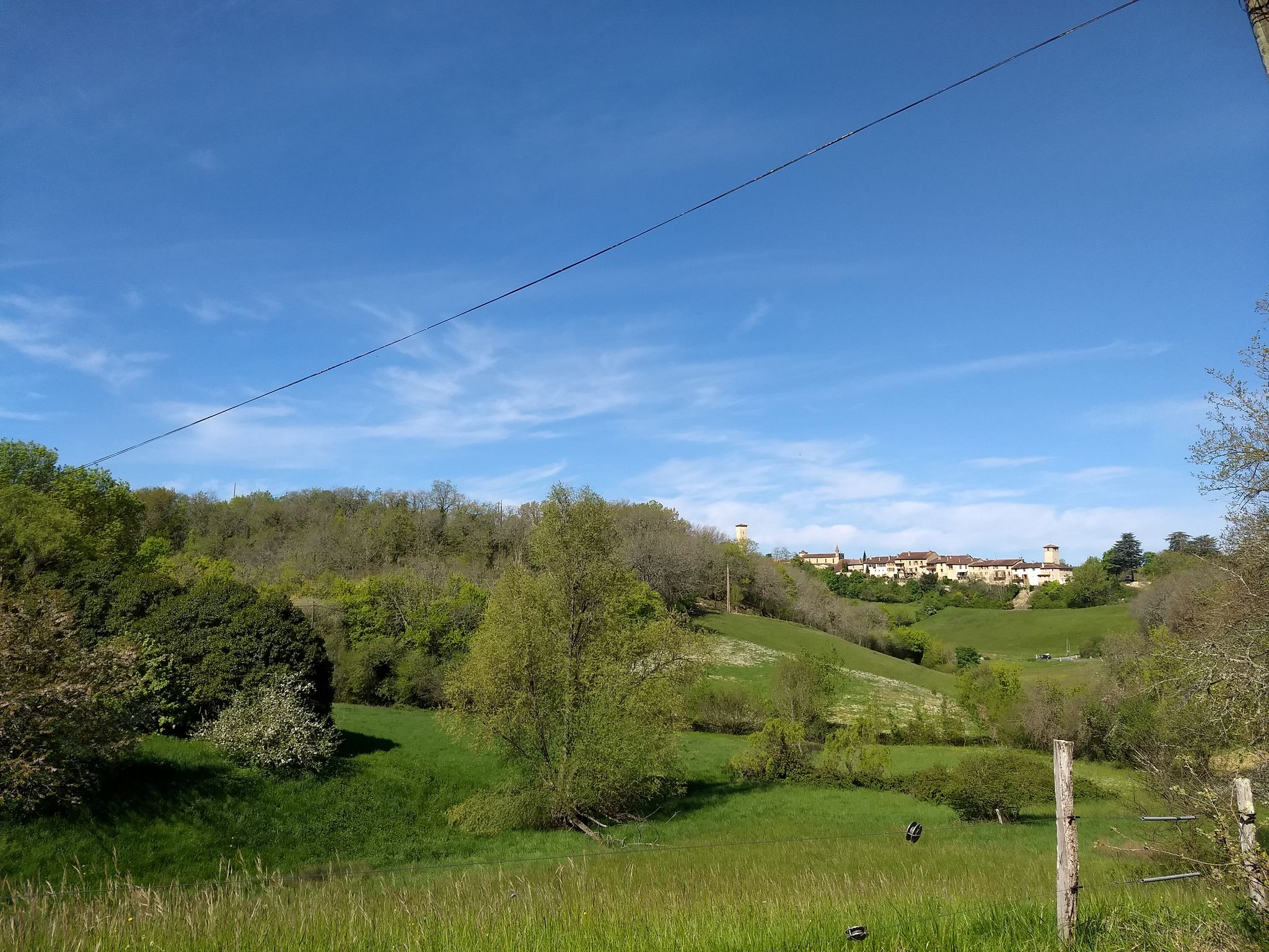 Biran
