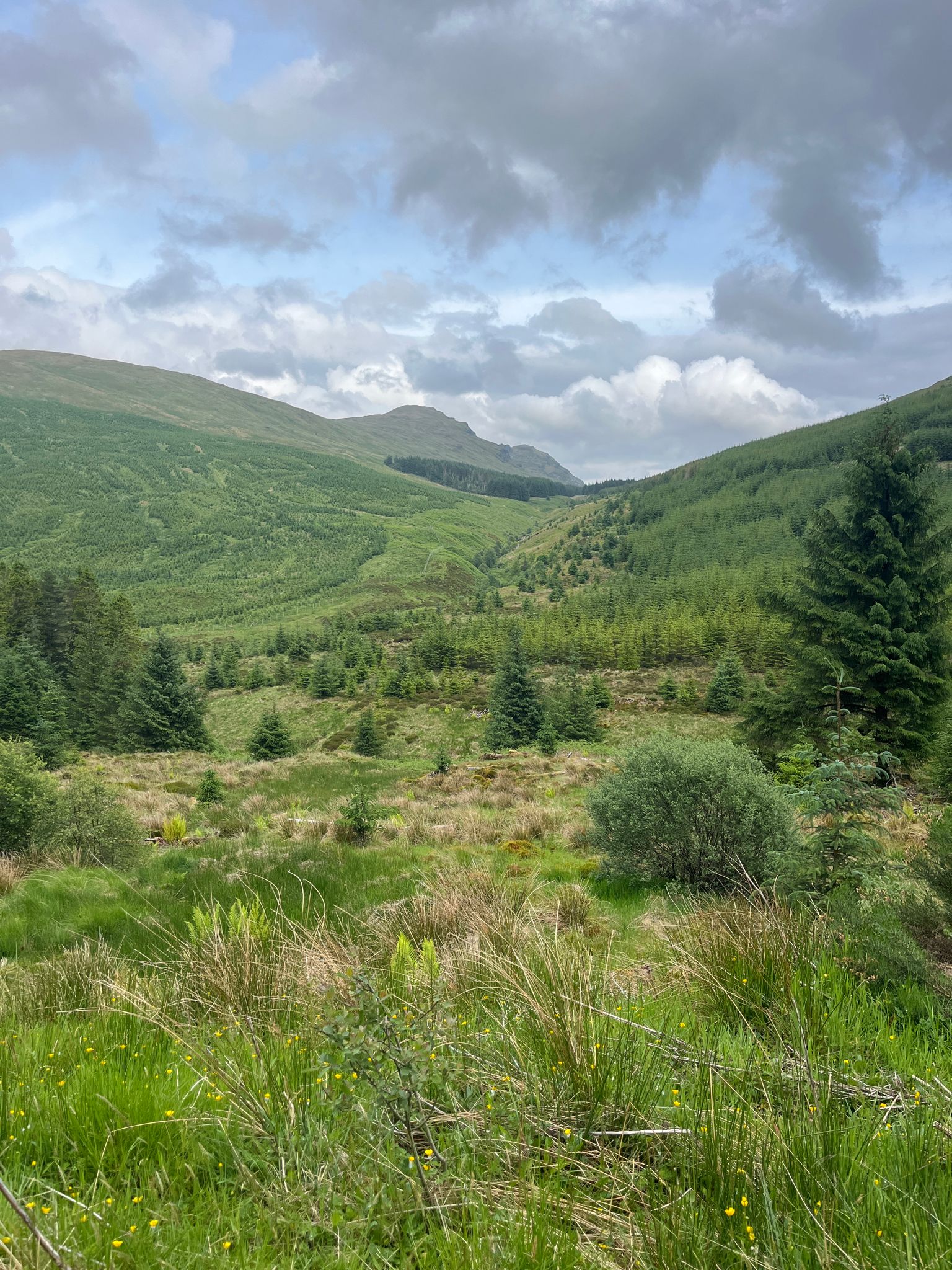 View through the glen towards Curra Lochain